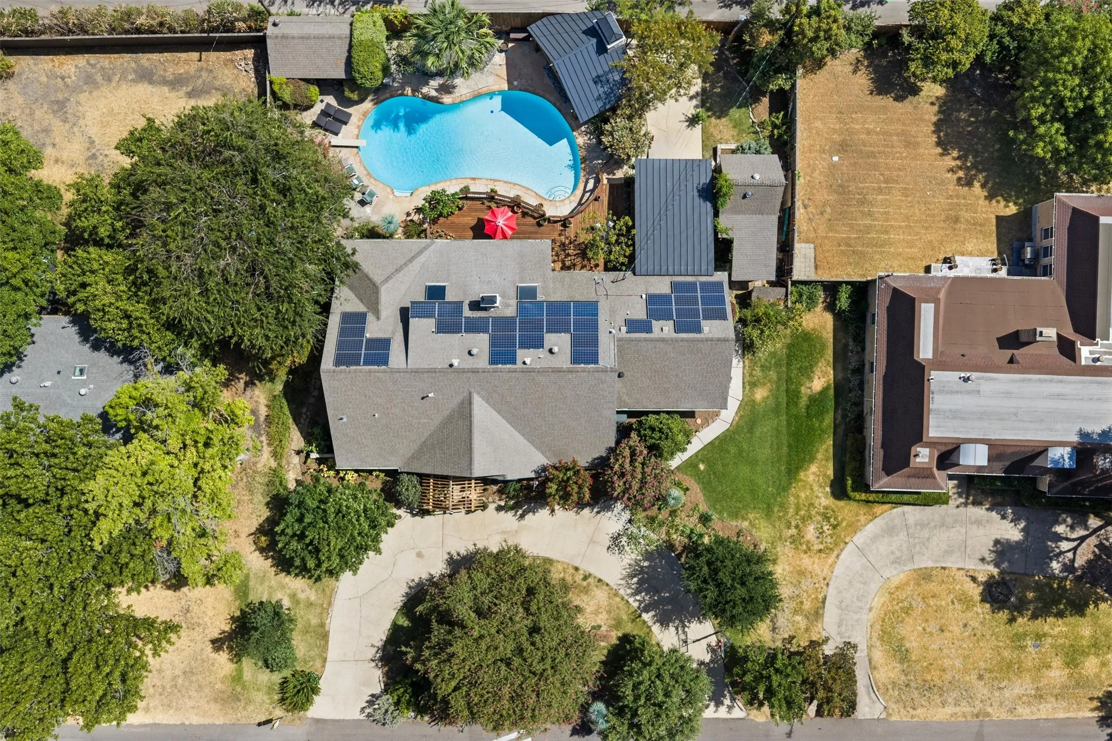 Asymmetrical swimming pool, extensive solar panel array, mature trees, concrete driveway, and a shingled roof