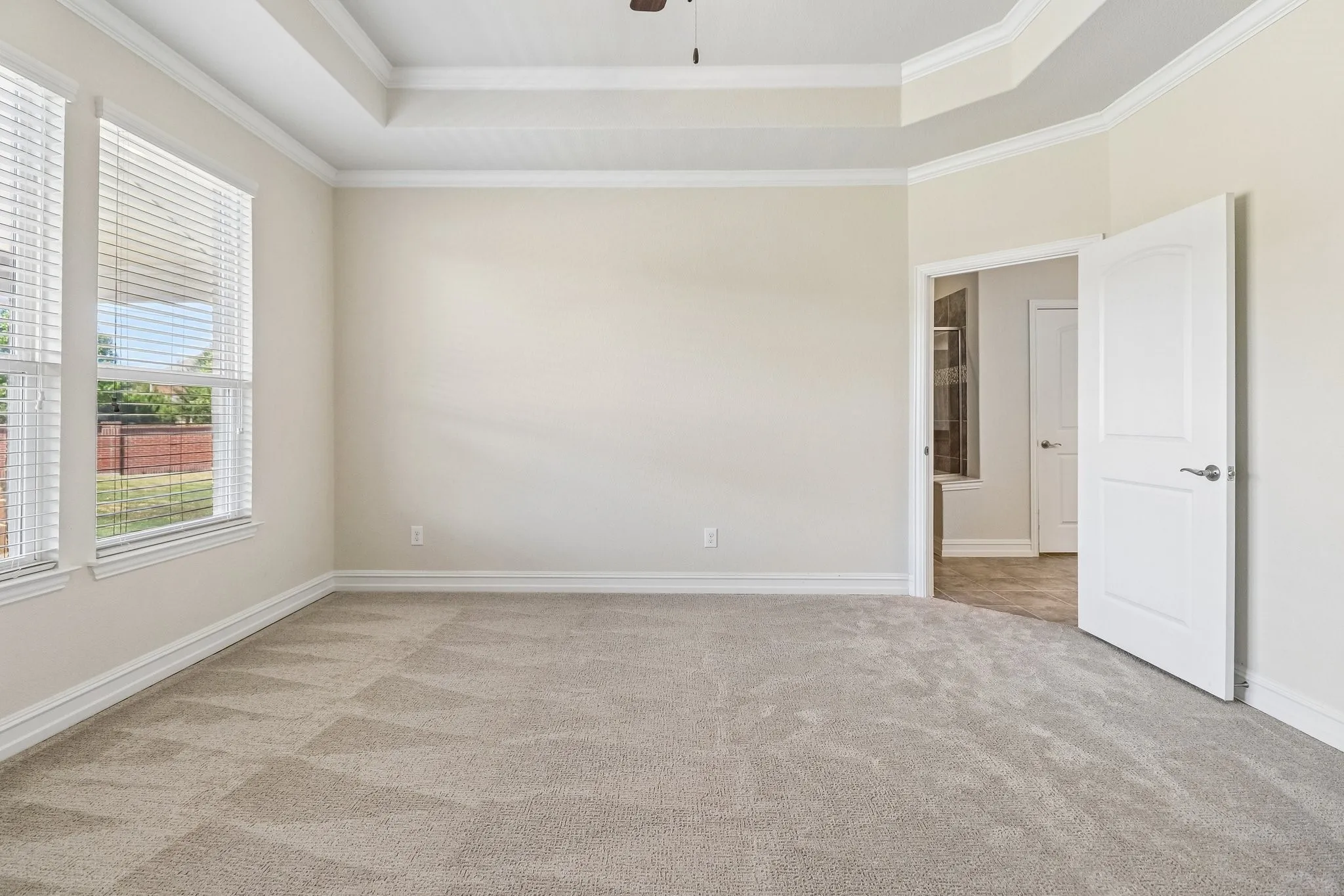 Tray ceiling with crown molding, light-toned carpeting, dual windows with blinds, and a white paneled door