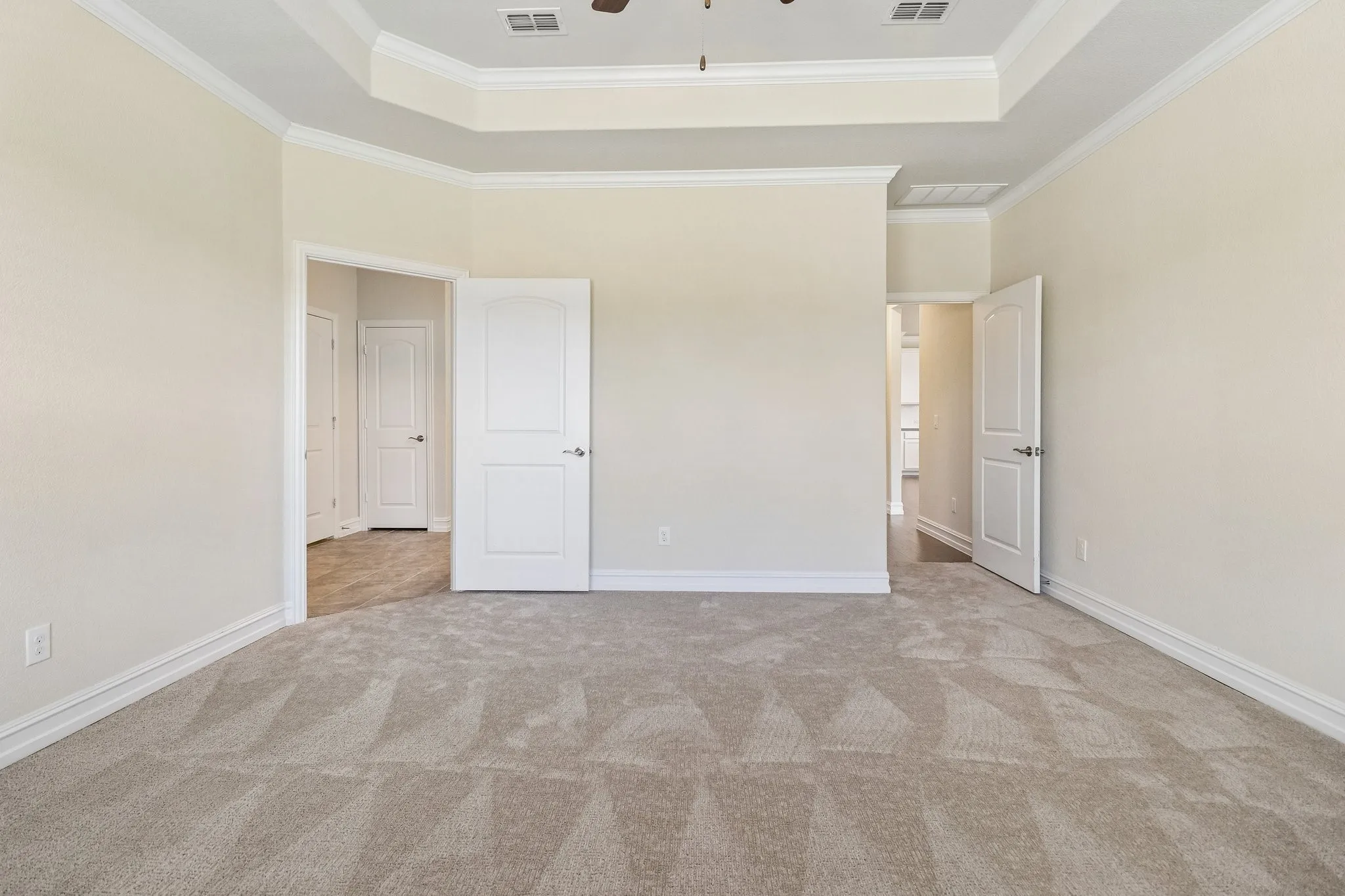 Tray ceiling with crown molding, light-toned carpeting, dual windows with blinds, and a white paneled door