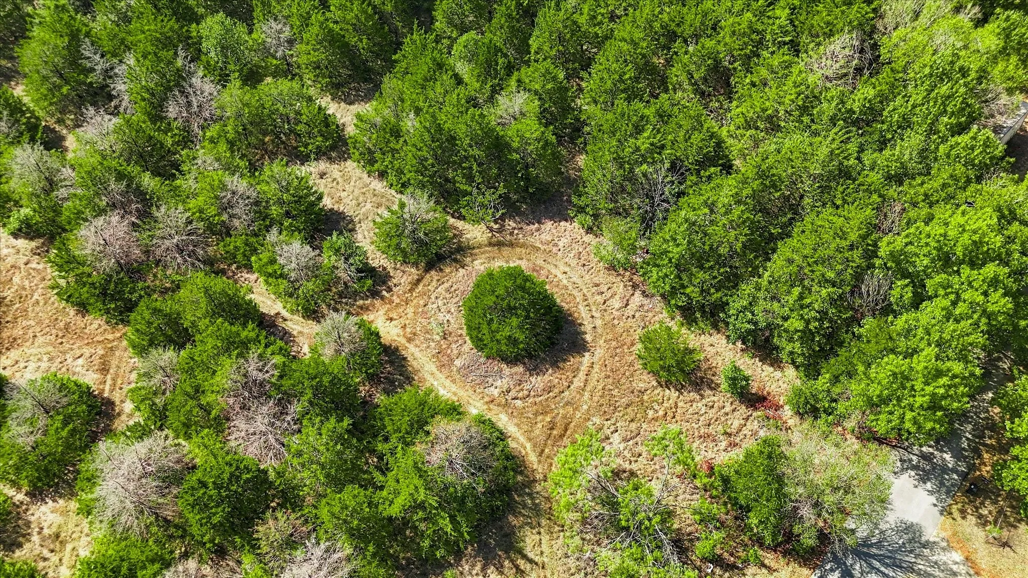 Unimproved Land For Sale in Navarro County , TBD FM 1578, Frost, Texas 76641, 0, 0, Garage spaces, 0 Sqft, built in 0, mls#21380238, Real Estate Agent in Frost, Homes For Sale in Navarro county, Homes For Sale in Frost, Realtor in Frost Texas, Real Estate Brokerage Independent Realty Texas, Luminita Cordes Realtor