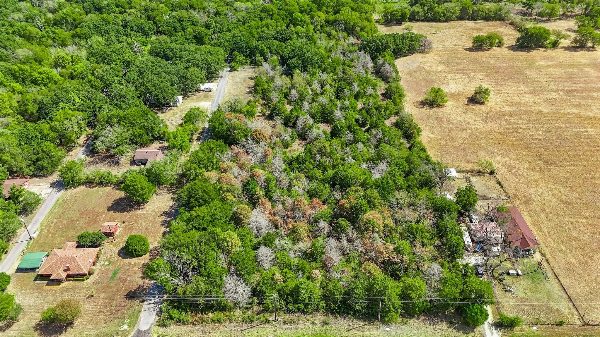 Front of property along FM 1578