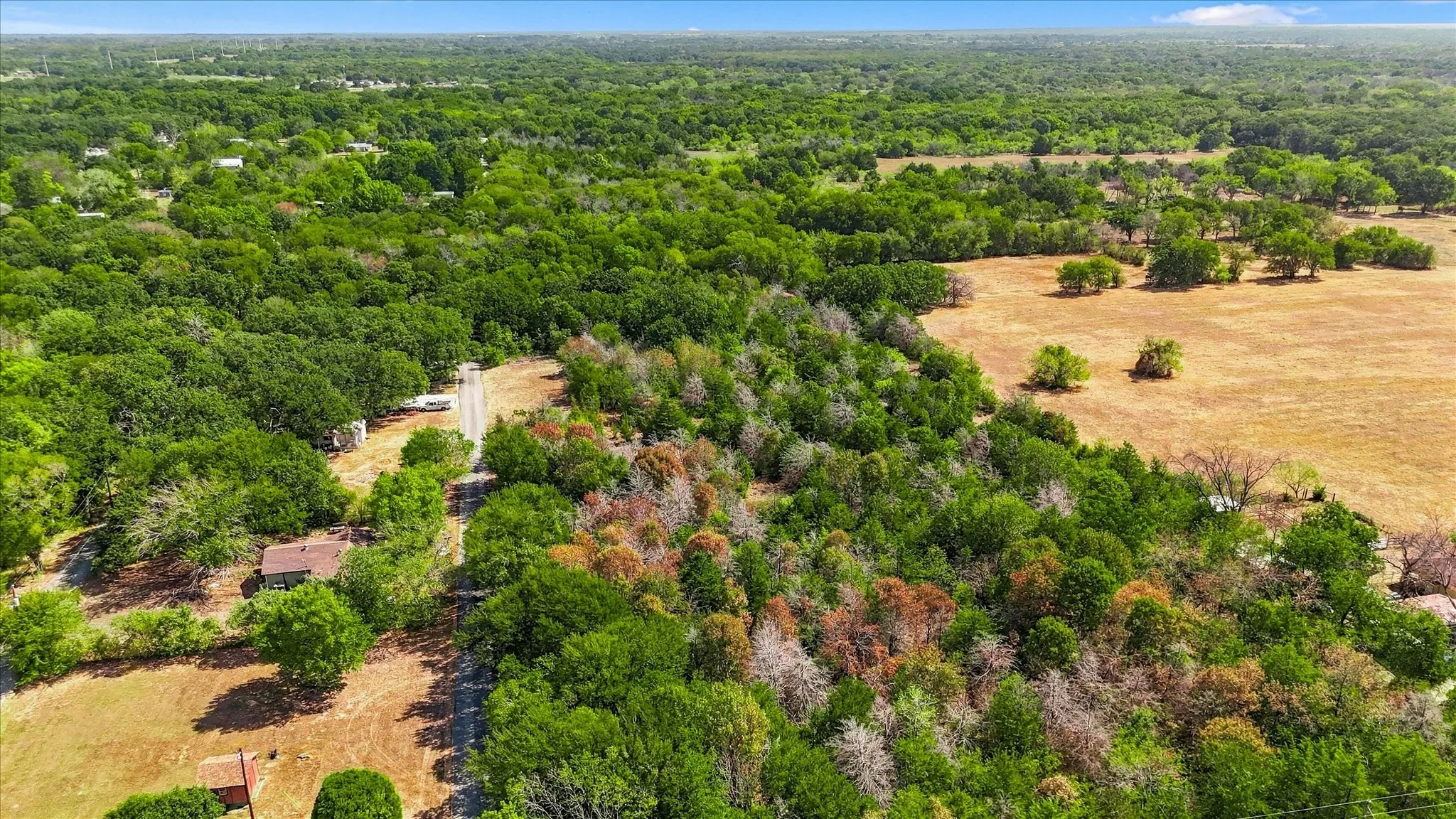 View of the back portion of the property looking east.
