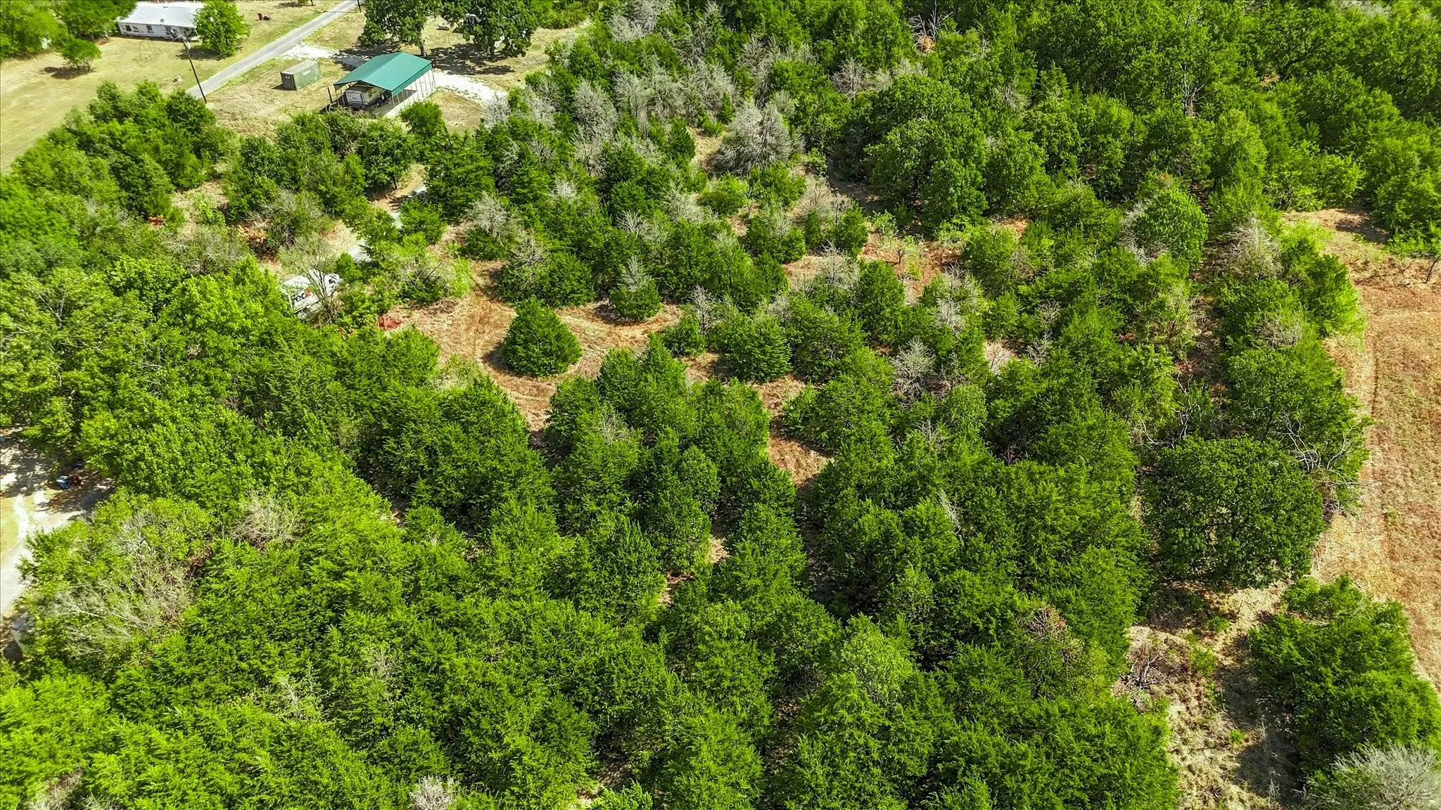 View of the back portion of the property. No buildings are on the property.