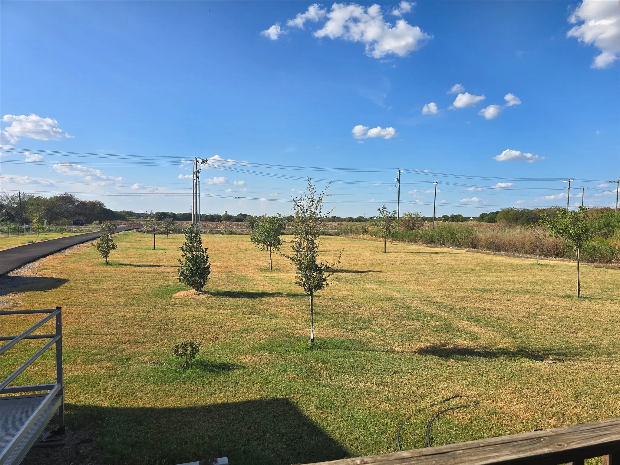 Expansive outdoor front space featuring a paved pathway, scattered young trees, and a clear sky backdrop