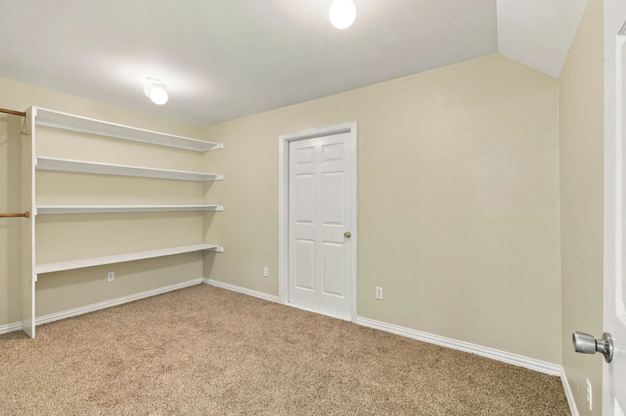 Built-in shelving, integrated closet rod, neutral carpet flooring, two ceiling-mounted light fixtures, and a paneled door