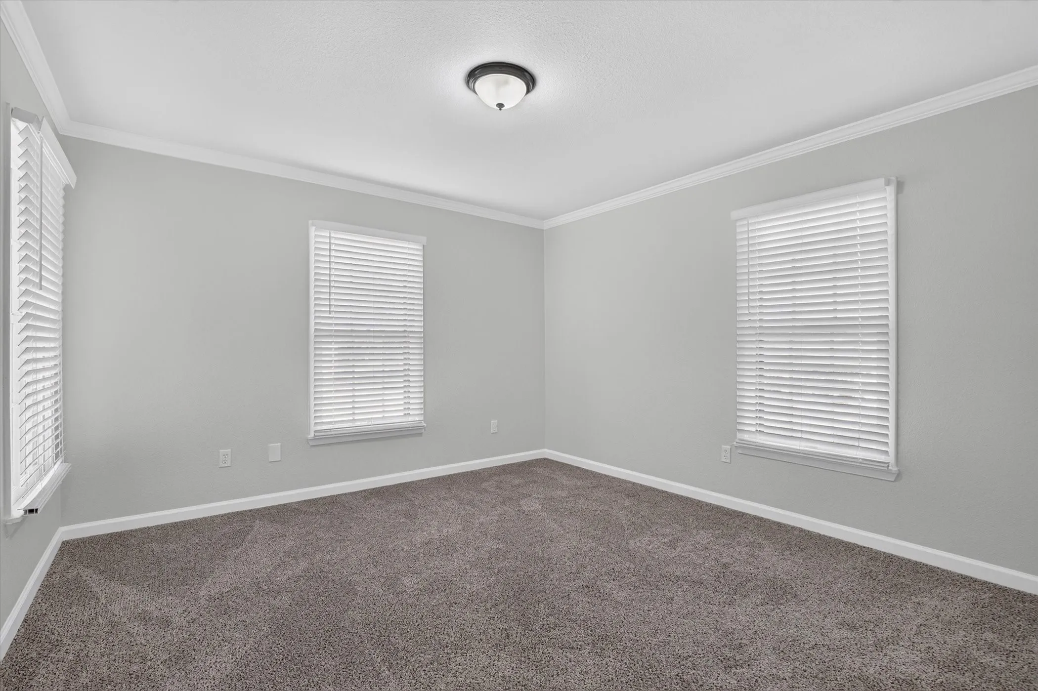 Carpeted room with multiple windows, crown molding, and a flush mount ceiling light