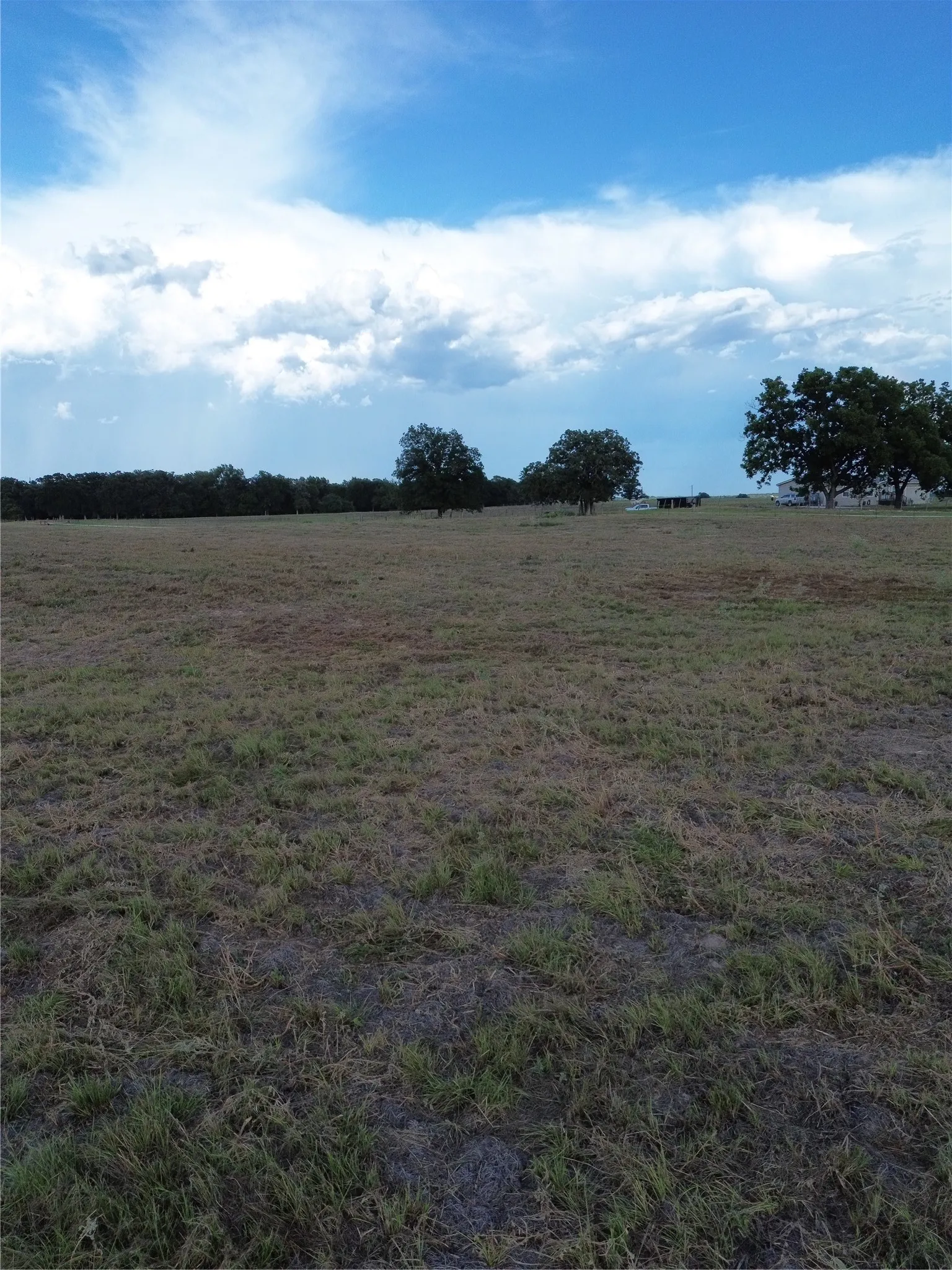 Unimproved Land For Sale in Robertson County , 0 Grant Prairie Rd 6, Franklin, Texas 77856, 0, 0, Garage spaces, 0 Sqft, built in 0, mls#21381528, Real Estate Agent in Franklin, Homes For Sale in Robertson county, Homes For Sale in Franklin, Realtor in Franklin Texas, Real Estate Brokerage Independent Realty Texas, Luminita Cordes Realtor
