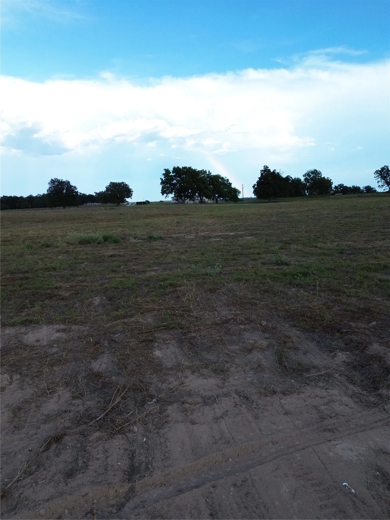 Unimproved Land For Sale in Robertson County , 0 Grant Prairie Rd 6, Franklin, Texas 77856, 0, 0, Garage spaces, 0 Sqft, built in 0, mls#21381528, Real Estate Agent in Franklin, Homes For Sale in Robertson county, Homes For Sale in Franklin, Realtor in Franklin Texas, Real Estate Brokerage Independent Realty Texas, Luminita Cordes Realtor