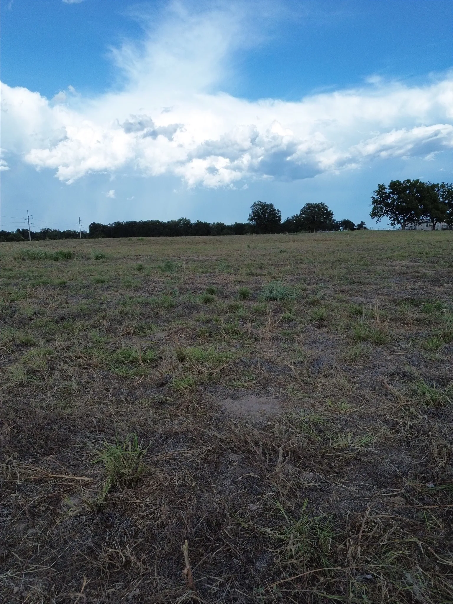 Unimproved Land For Sale in Robertson County , 0 Grant Prairie Rd 6, Franklin, Texas 77856, 0, 0, Garage spaces, 0 Sqft, built in 0, mls#21381528, Real Estate Agent in Franklin, Homes For Sale in Robertson county, Homes For Sale in Franklin, Realtor in Franklin Texas, Real Estate Brokerage Independent Realty Texas, Luminita Cordes Realtor