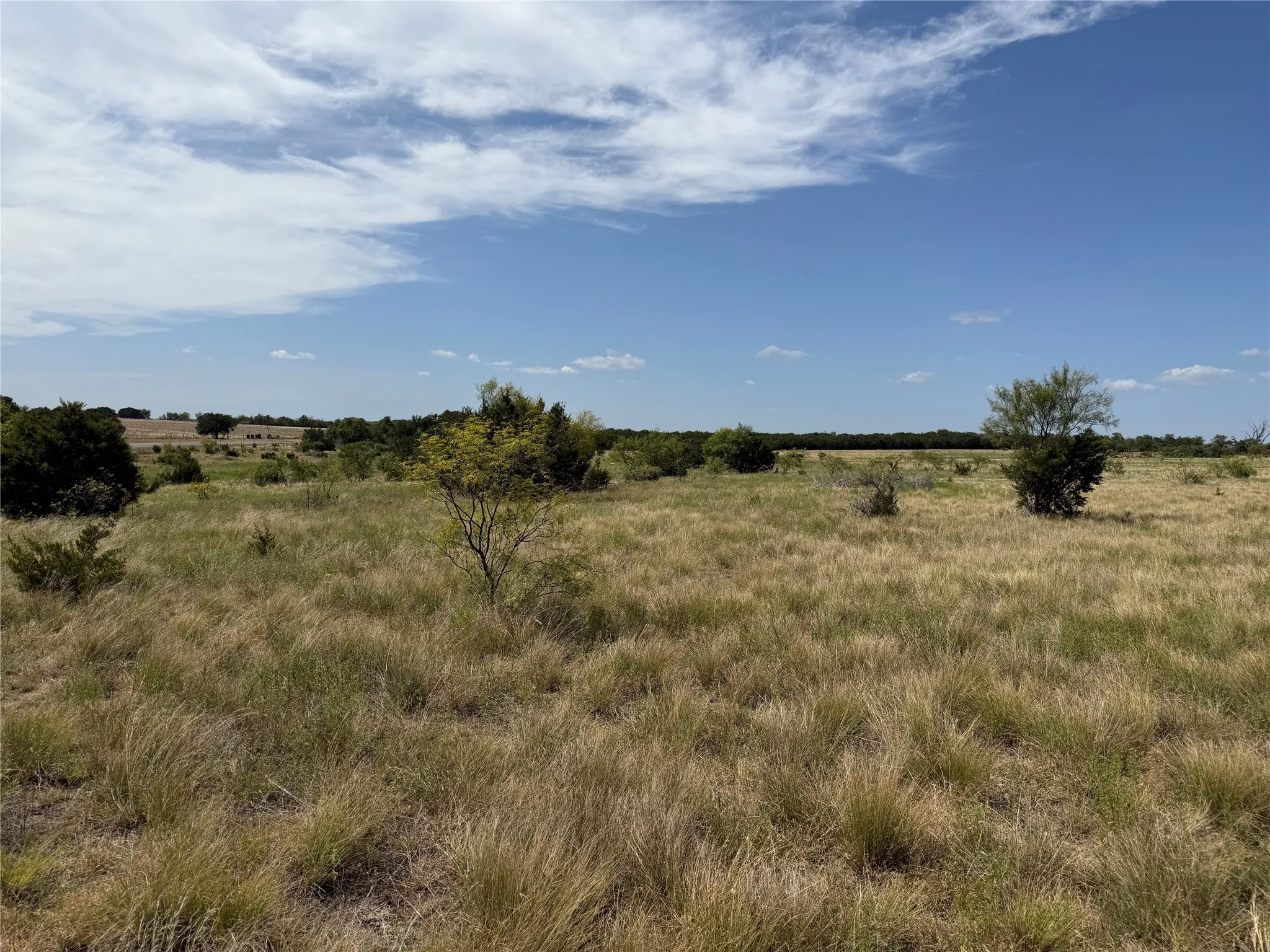 Unimproved Land For Sale in Coryell County , TBD FM 1241, Purmela, Texas 76566, 0, 0, Garage spaces, 0 Sqft, built in 0, mls#21387705, Real Estate Agent in Purmela, Homes For Sale in Coryell county, Homes For Sale in Purmela, Realtor in Purmela Texas, Real Estate Brokerage Independent Realty Texas, Luminita Cordes Realtor