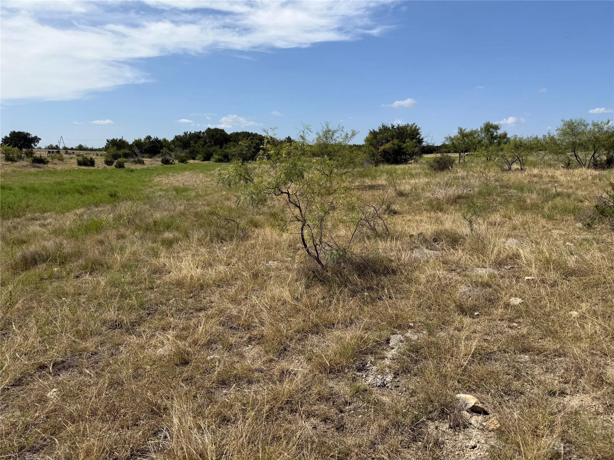 Unimproved Land For Sale in Coryell County , TBD FM 1241, Purmela, Texas 76566, 0, 0, Garage spaces, 0 Sqft, built in 0, mls#21387705, Real Estate Agent in Purmela, Homes For Sale in Coryell county, Homes For Sale in Purmela, Realtor in Purmela Texas, Real Estate Brokerage Independent Realty Texas, Luminita Cordes Realtor