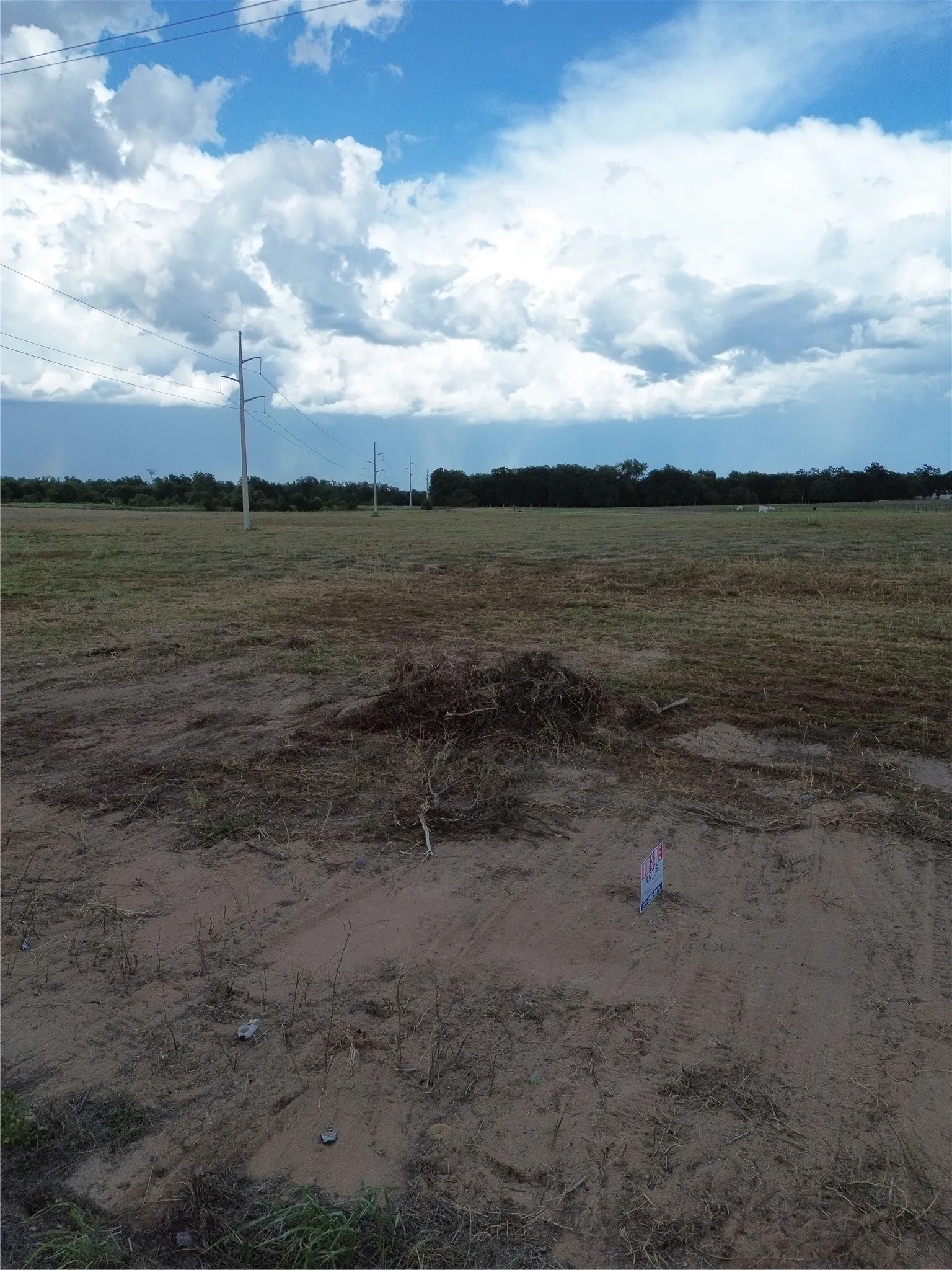 Unimproved Land For Sale in Robertson County , 0 Grant Prairie Road 5, Franklin, Texas 77856, 0, 0, Garage spaces, 0 Sqft, built in 0, mls#21381520, Real Estate Agent in Franklin, Homes For Sale in Robertson county, Homes For Sale in Franklin, Realtor in Franklin Texas, Real Estate Brokerage Independent Realty Texas, Luminita Cordes Realtor