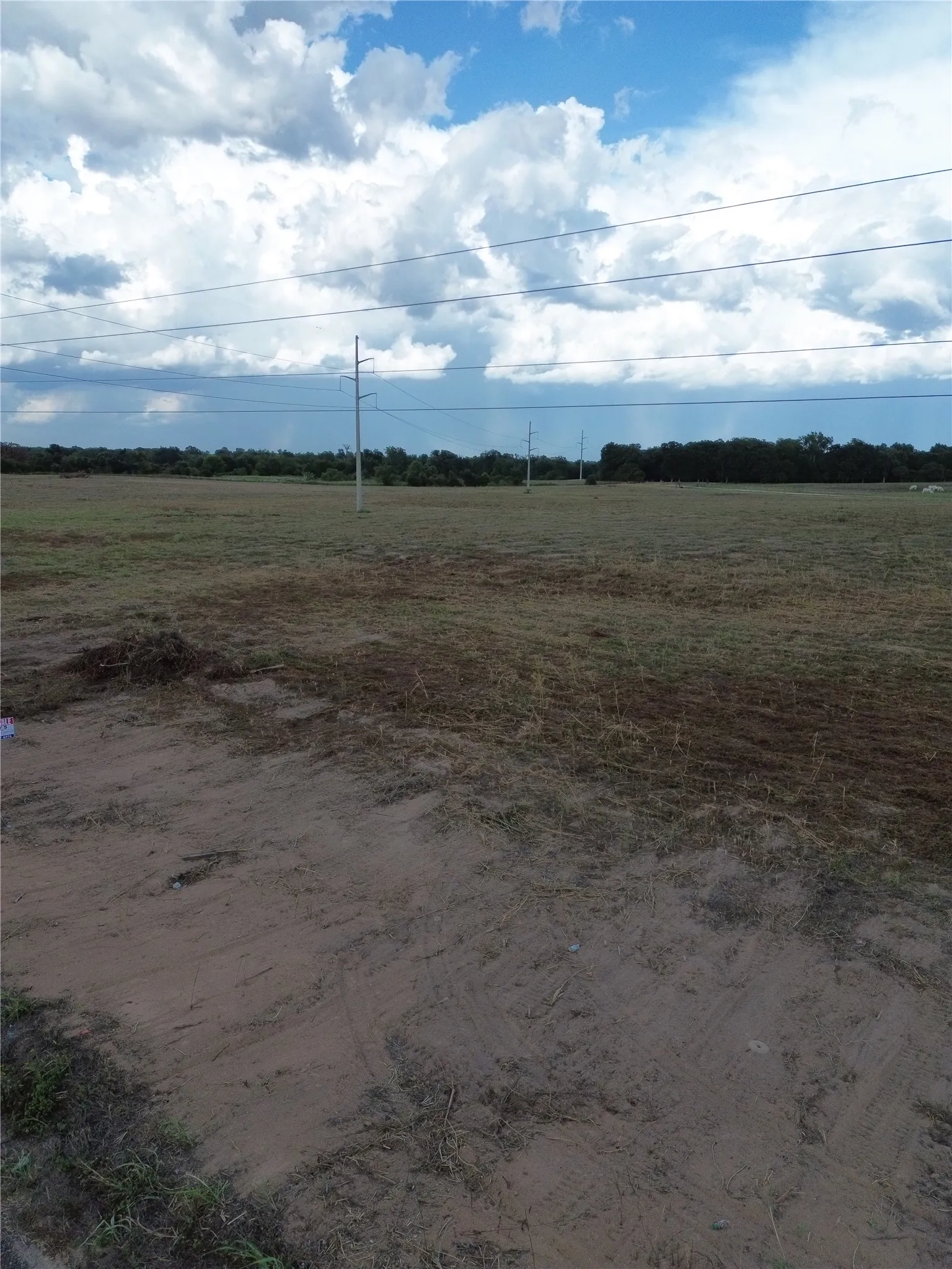 Unimproved Land For Sale in Robertson County , 0 Grant Prairie Road 5, Franklin, Texas 77856, 0, 0, Garage spaces, 0 Sqft, built in 0, mls#21381520, Real Estate Agent in Franklin, Homes For Sale in Robertson county, Homes For Sale in Franklin, Realtor in Franklin Texas, Real Estate Brokerage Independent Realty Texas, Luminita Cordes Realtor
