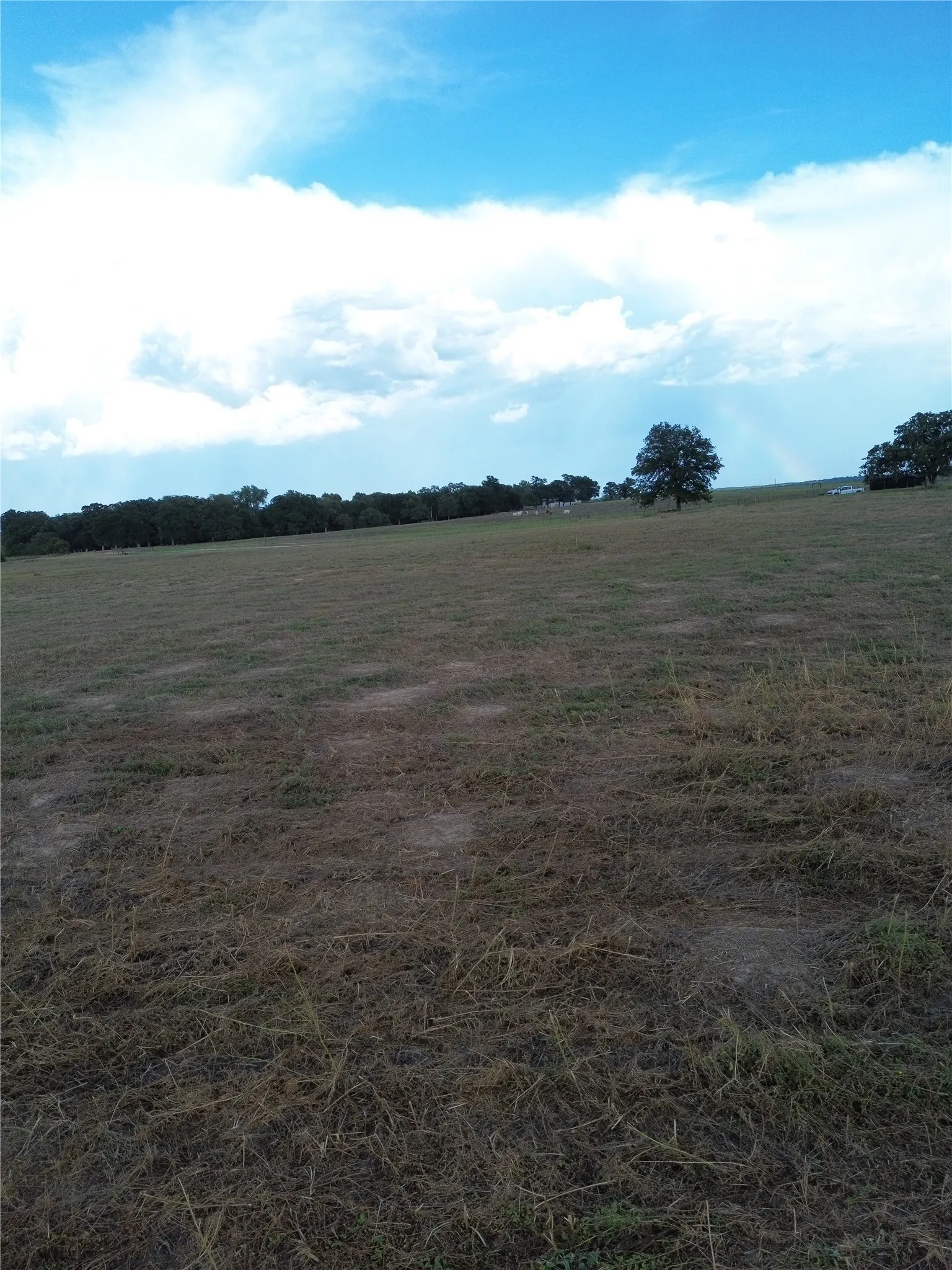 Unimproved Land For Sale in Robertson County , 0 Grant Prairie Road 5, Franklin, Texas 77856, 0, 0, Garage spaces, 0 Sqft, built in 0, mls#21381520, Real Estate Agent in Franklin, Homes For Sale in Robertson county, Homes For Sale in Franklin, Realtor in Franklin Texas, Real Estate Brokerage Independent Realty Texas, Luminita Cordes Realtor