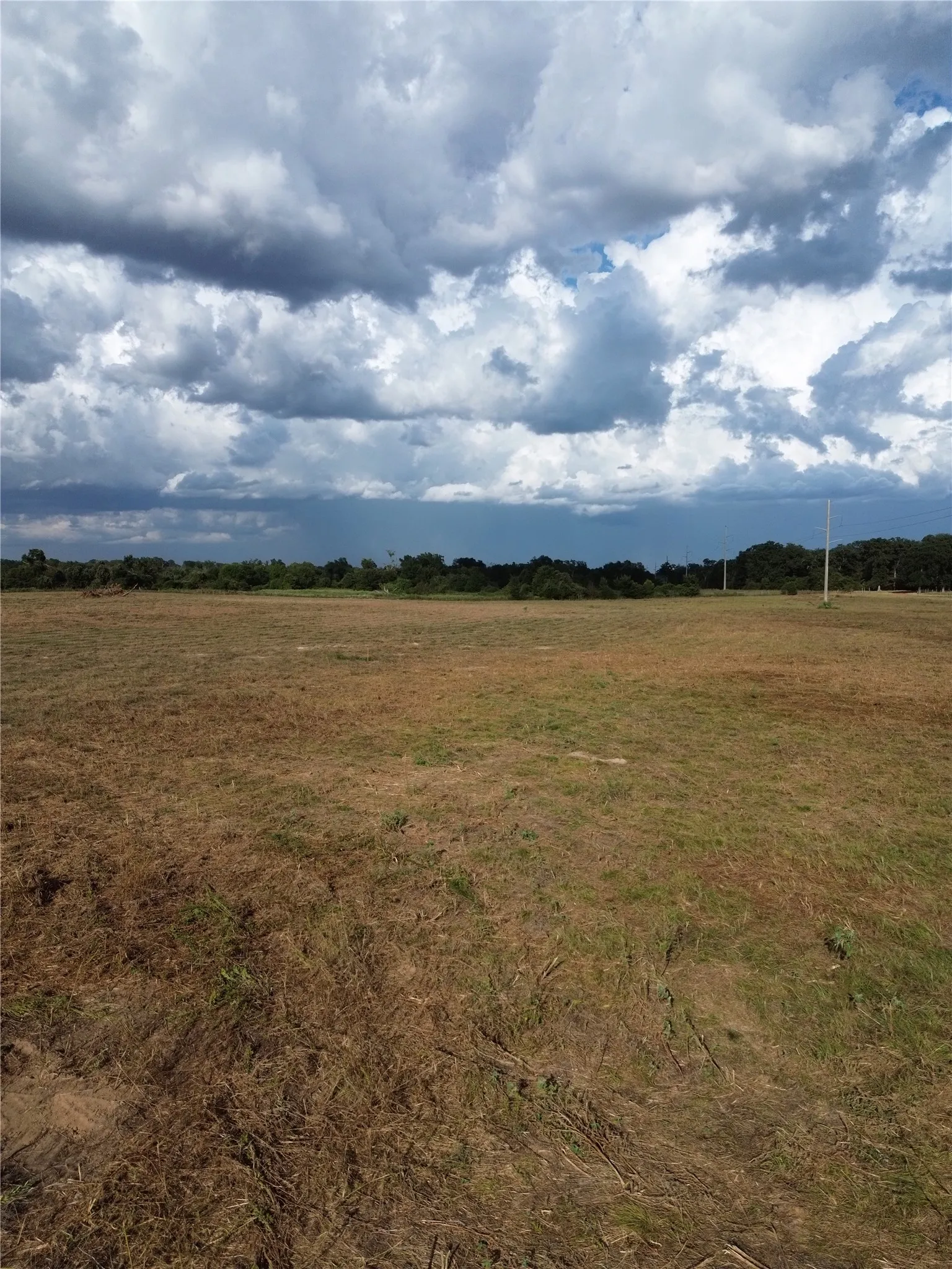 Unimproved Land For Sale in Robertson County , 0 Grant Prairie Road 4, Franklin, Texas 77856, 0, 0, Garage spaces, 0 Sqft, built in 0, mls#21381504, Real Estate Agent in Franklin, Homes For Sale in Robertson county, Homes For Sale in Franklin, Realtor in Franklin Texas, Real Estate Brokerage Independent Realty Texas, Luminita Cordes Realtor