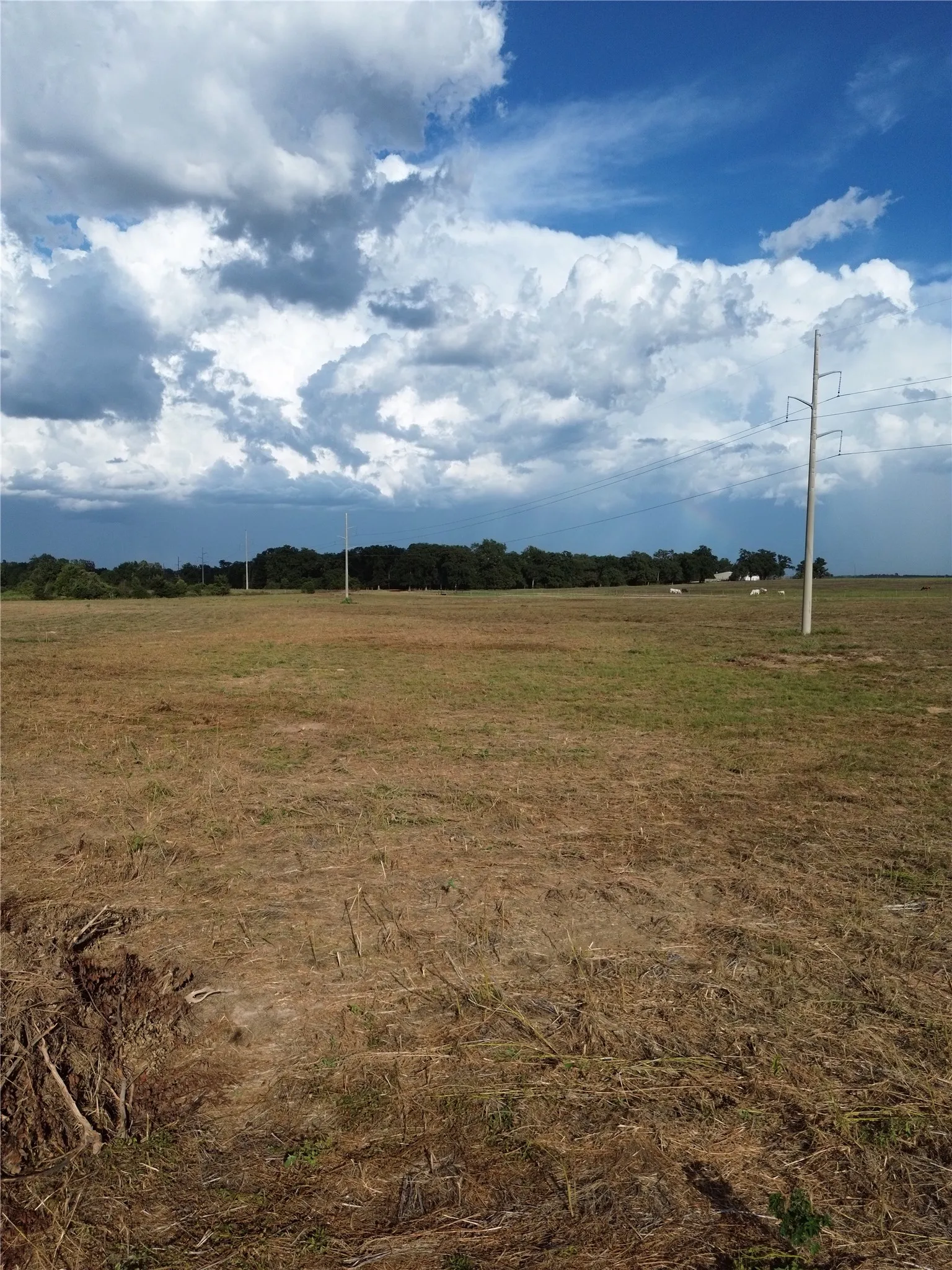 Unimproved Land For Sale in Robertson County , 0 Grant Prairie Road 4, Franklin, Texas 77856, 0, 0, Garage spaces, 0 Sqft, built in 0, mls#21381504, Real Estate Agent in Franklin, Homes For Sale in Robertson county, Homes For Sale in Franklin, Realtor in Franklin Texas, Real Estate Brokerage Independent Realty Texas, Luminita Cordes Realtor