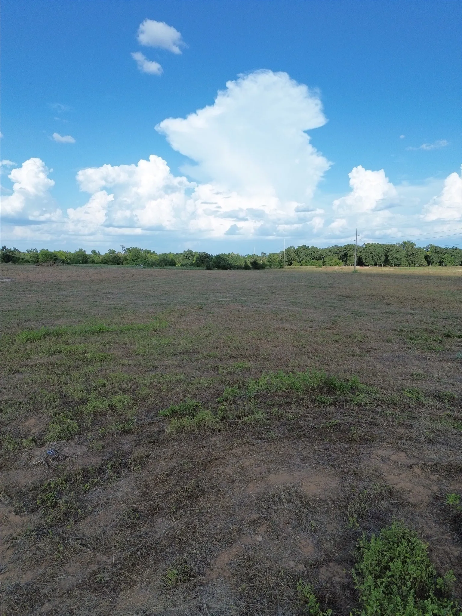 Unimproved Land For Sale in Robertson County , 0 Grant Prairie Road 3, Franklin, Texas 77856, 0, 0, Garage spaces, 0 Sqft, built in 0, mls#21380454, Real Estate Agent in Franklin, Homes For Sale in Robertson county, Homes For Sale in Franklin, Realtor in Franklin Texas, Real Estate Brokerage Independent Realty Texas, Luminita Cordes Realtor