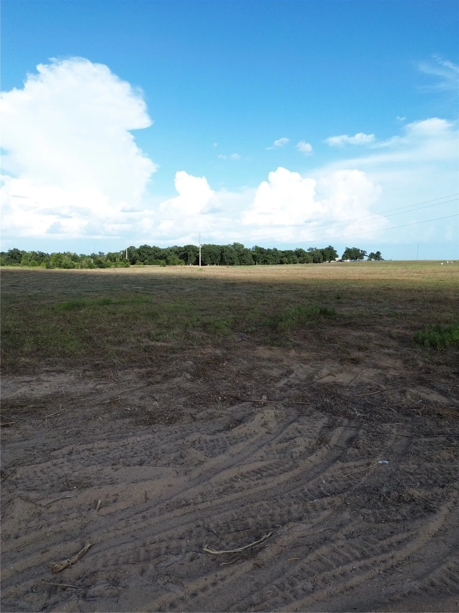 Unimproved Land For Sale in Robertson County , 0 Grant Prairie Road 3, Franklin, Texas 77856, 0, 0, Garage spaces, 0 Sqft, built in 0, mls#21380454, Real Estate Agent in Franklin, Homes For Sale in Robertson county, Homes For Sale in Franklin, Realtor in Franklin Texas, Real Estate Brokerage Independent Realty Texas, Luminita Cordes Realtor