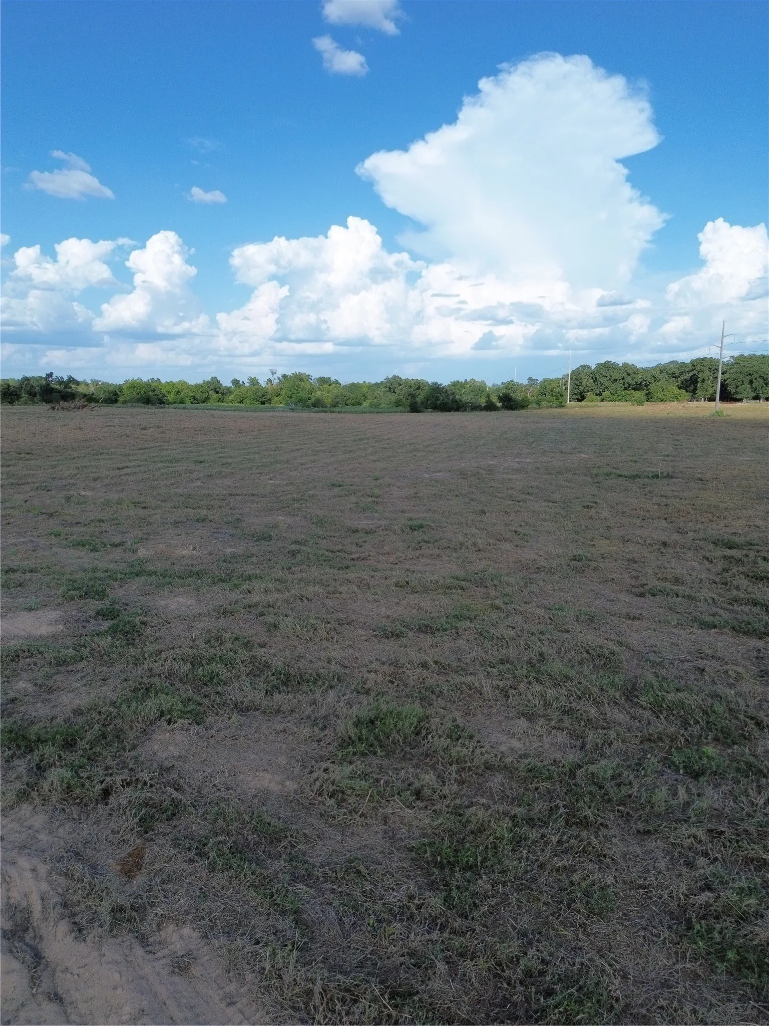 Unimproved Land For Sale in Robertson County , 0 Grant Prairie Road 3, Franklin, Texas 77856, 0, 0, Garage spaces, 0 Sqft, built in 0, mls#21380454, Real Estate Agent in Franklin, Homes For Sale in Robertson county, Homes For Sale in Franklin, Realtor in Franklin Texas, Real Estate Brokerage Independent Realty Texas, Luminita Cordes Realtor