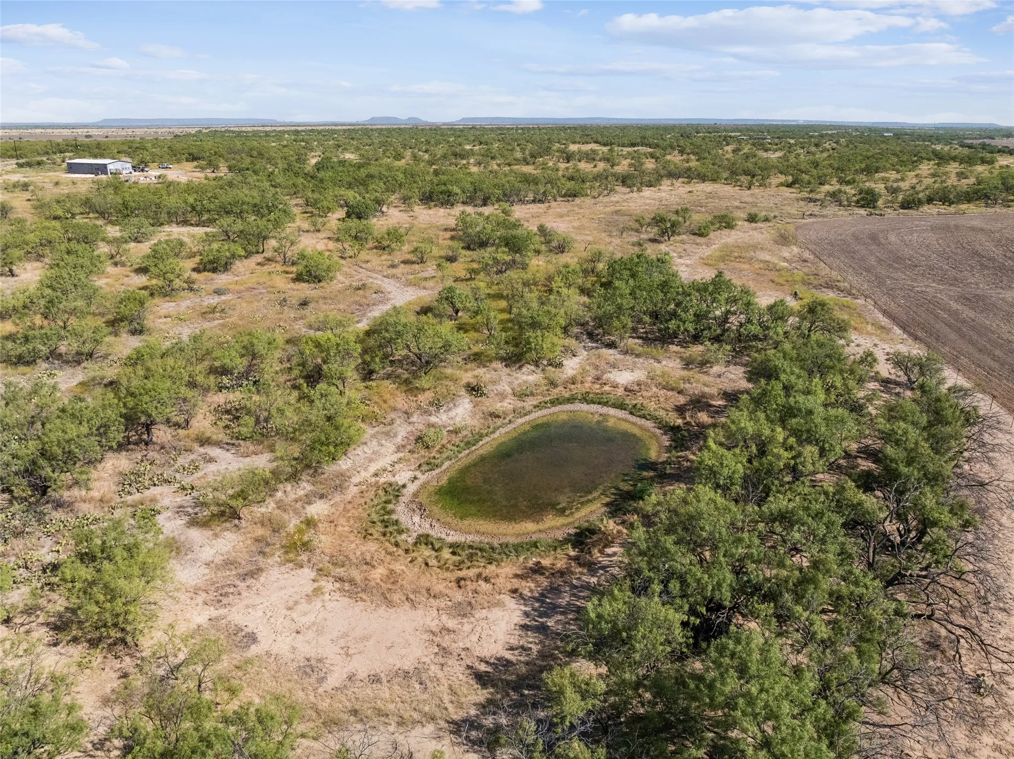 Expansive rural landscape featuring a natural pond and scattered trees