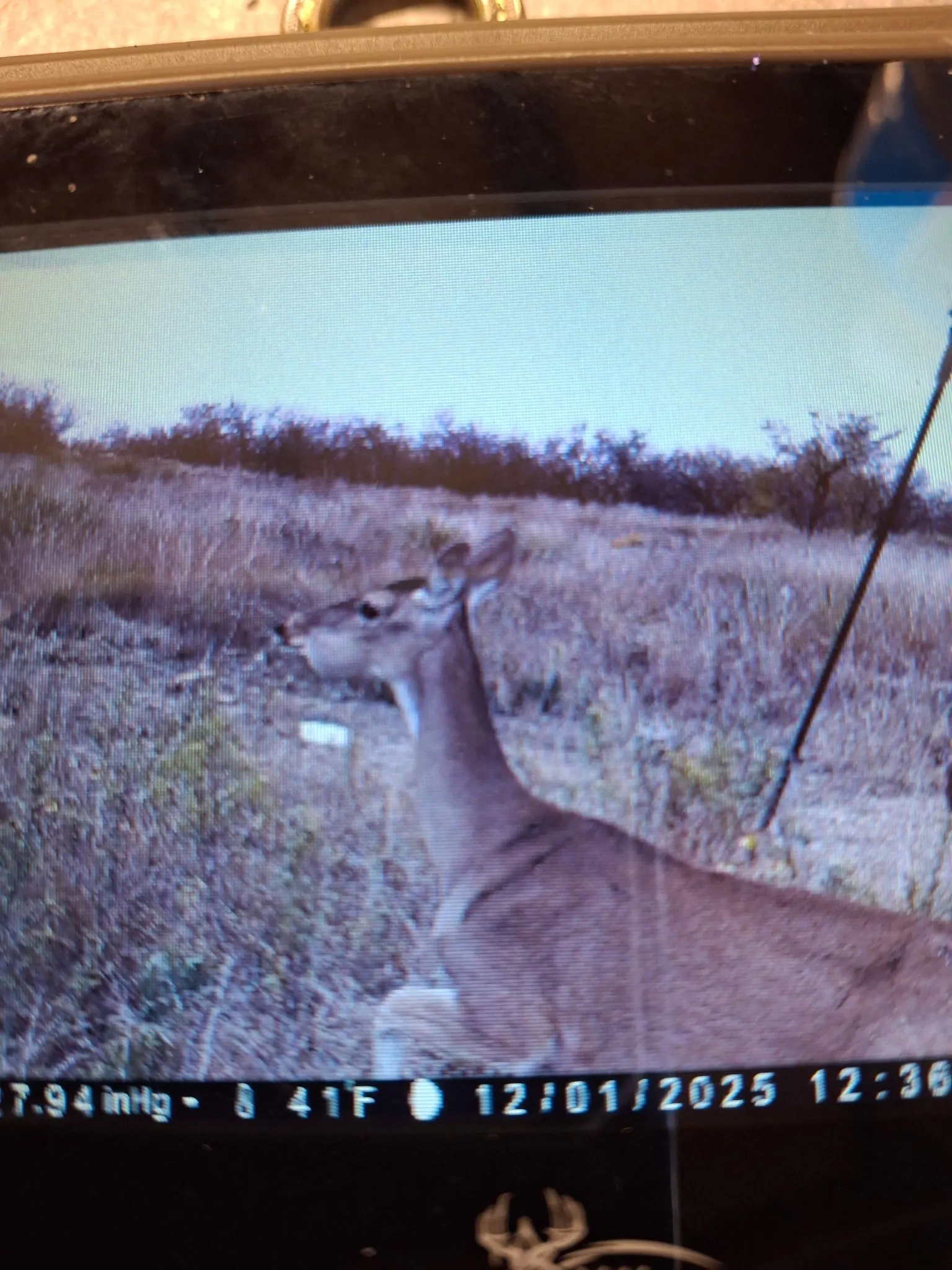 Game camera