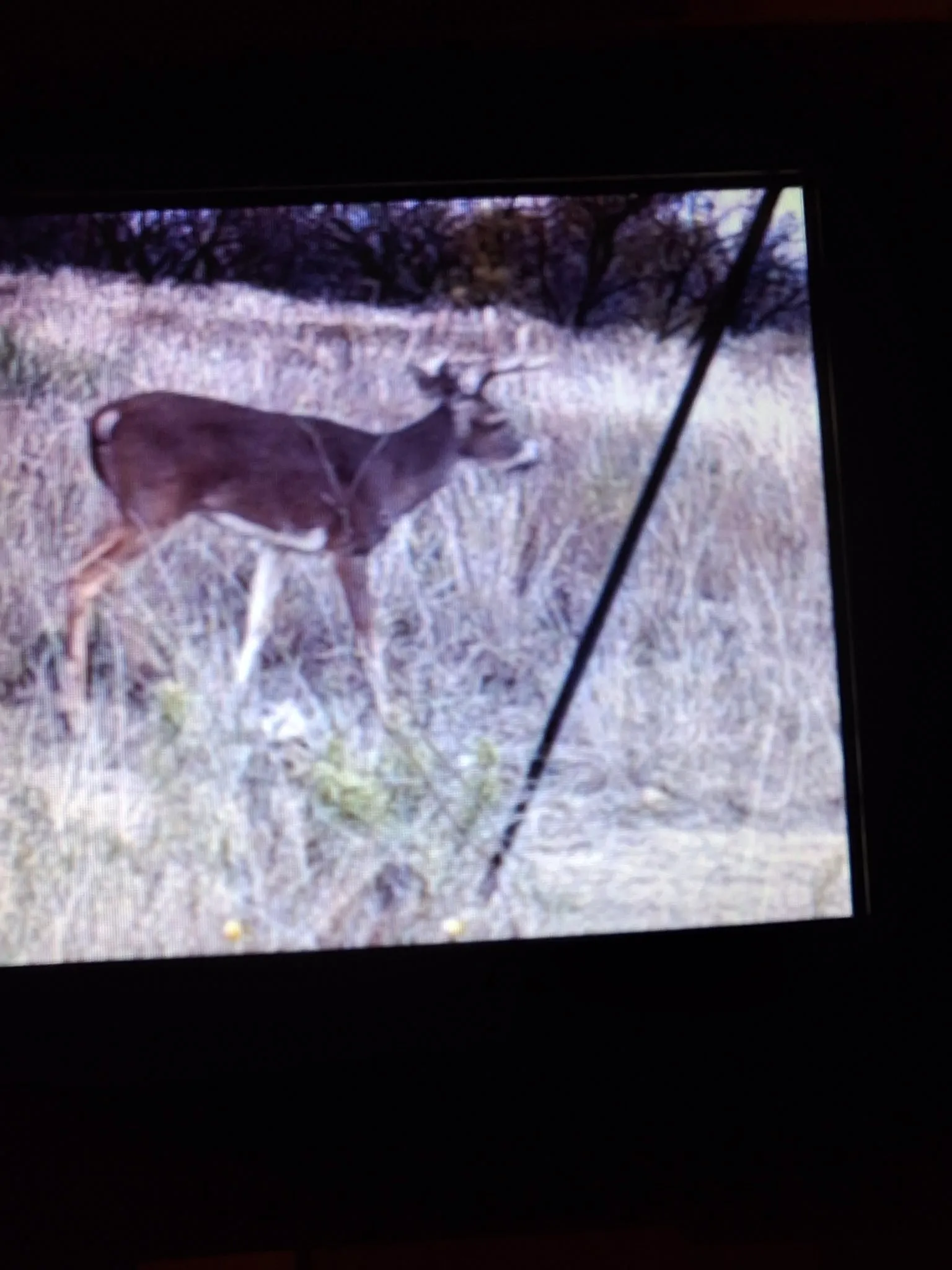 Game camera