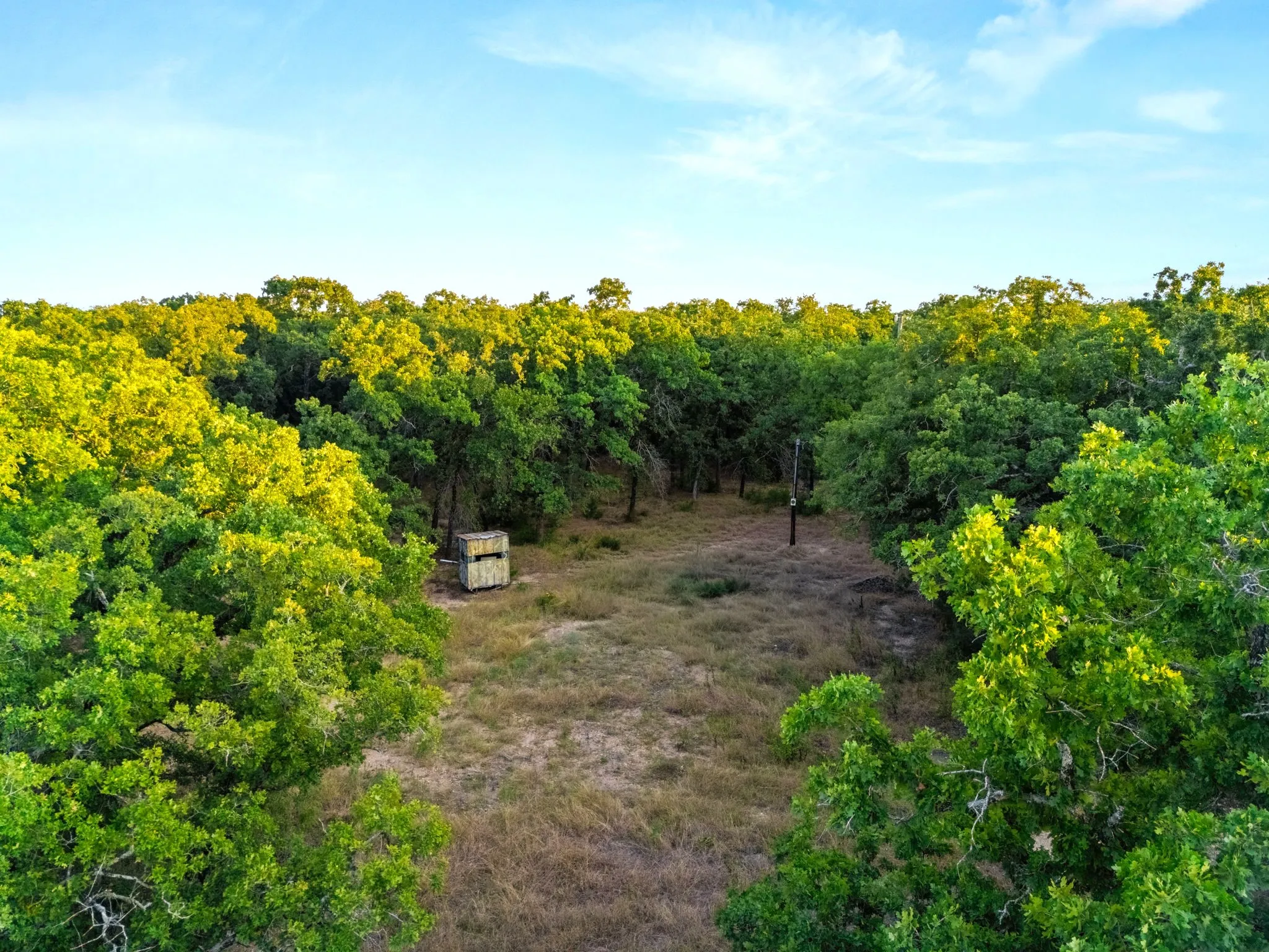 Improved Land For Sale in Mc Lennan County , Longhorn Parkway & Highway 31, Axtell, Texas 76624, 0, 0, Garage spaces, 0 Sqft, built in 0, mls#21388834, Real Estate Agent in Axtell, Homes For Sale in Mc Lennan county, Homes For Sale in Axtell, Realtor in Axtell Texas, Real Estate Brokerage Independent Realty Texas, Luminita Cordes Realtor