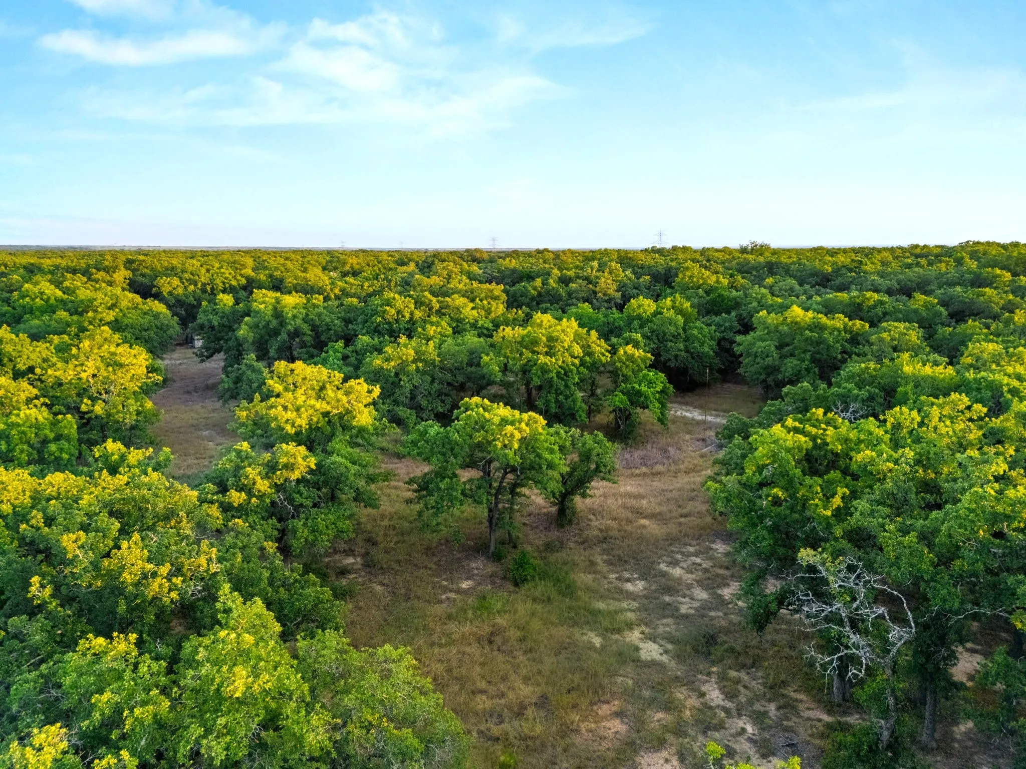 Improved Land For Sale in Mc Lennan County , Longhorn Parkway & Highway 31, Axtell, Texas 76624, 0, 0, Garage spaces, 0 Sqft, built in 0, mls#21388834, Real Estate Agent in Axtell, Homes For Sale in Mc Lennan county, Homes For Sale in Axtell, Realtor in Axtell Texas, Real Estate Brokerage Independent Realty Texas, Luminita Cordes Realtor