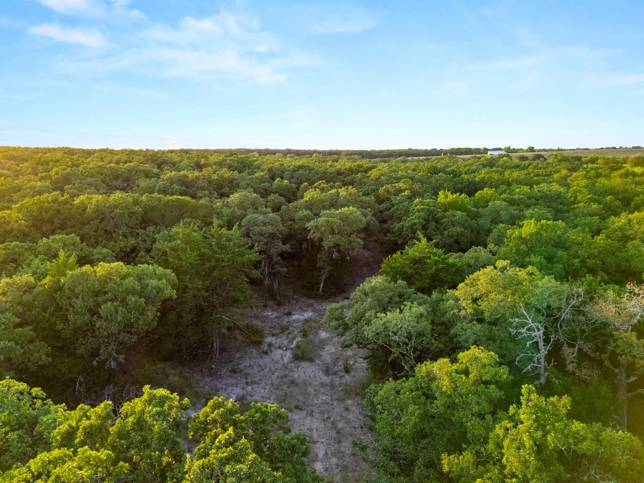 Improved Land For Sale in Mc Lennan County , Longhorn Parkway & Highway 31, Axtell, Texas 76624, 0, 0, Garage spaces, 0 Sqft, built in 0, mls#21388834, Real Estate Agent in Axtell, Homes For Sale in Mc Lennan county, Homes For Sale in Axtell, Realtor in Axtell Texas, Real Estate Brokerage Independent Realty Texas, Luminita Cordes Realtor