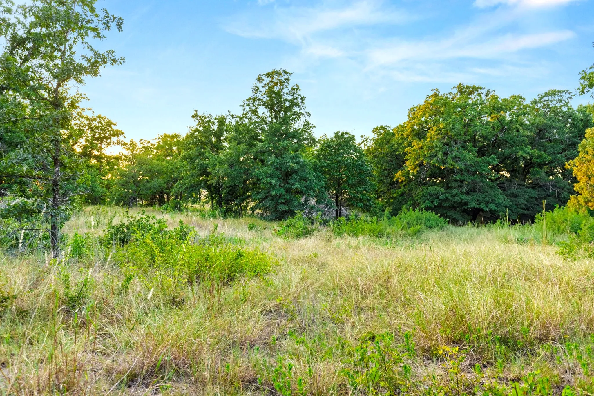 Improved Land For Sale in Mc Lennan County , Longhorn Parkway & Highway 31, Axtell, Texas 76624, 0, 0, Garage spaces, 0 Sqft, built in 0, mls#21388834, Real Estate Agent in Axtell, Homes For Sale in Mc Lennan county, Homes For Sale in Axtell, Realtor in Axtell Texas, Real Estate Brokerage Independent Realty Texas, Luminita Cordes Realtor