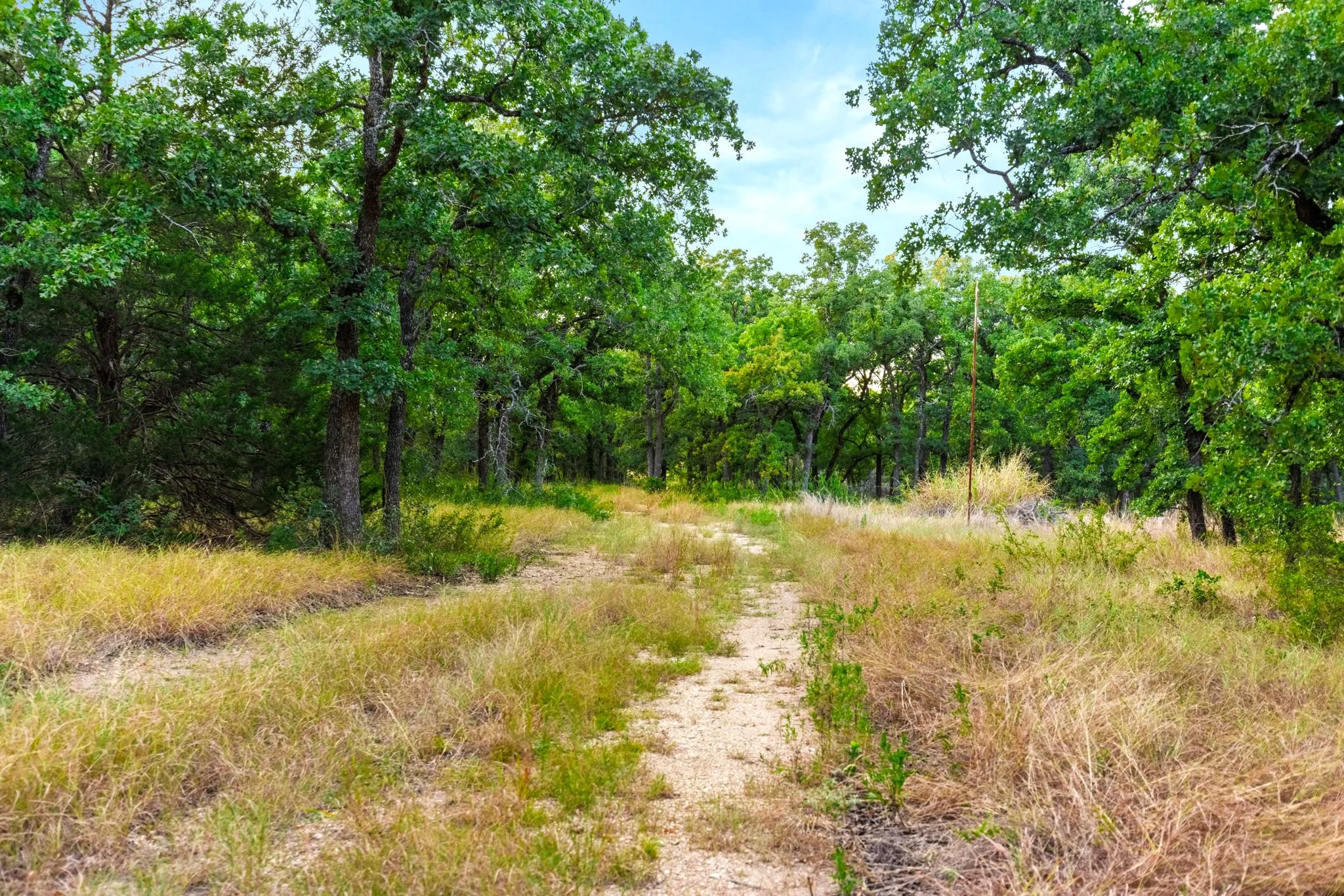 Improved Land For Sale in Mc Lennan County , Longhorn Parkway & Highway 31, Axtell, Texas 76624, 0, 0, Garage spaces, 0 Sqft, built in 0, mls#21388834, Real Estate Agent in Axtell, Homes For Sale in Mc Lennan county, Homes For Sale in Axtell, Realtor in Axtell Texas, Real Estate Brokerage Independent Realty Texas, Luminita Cordes Realtor