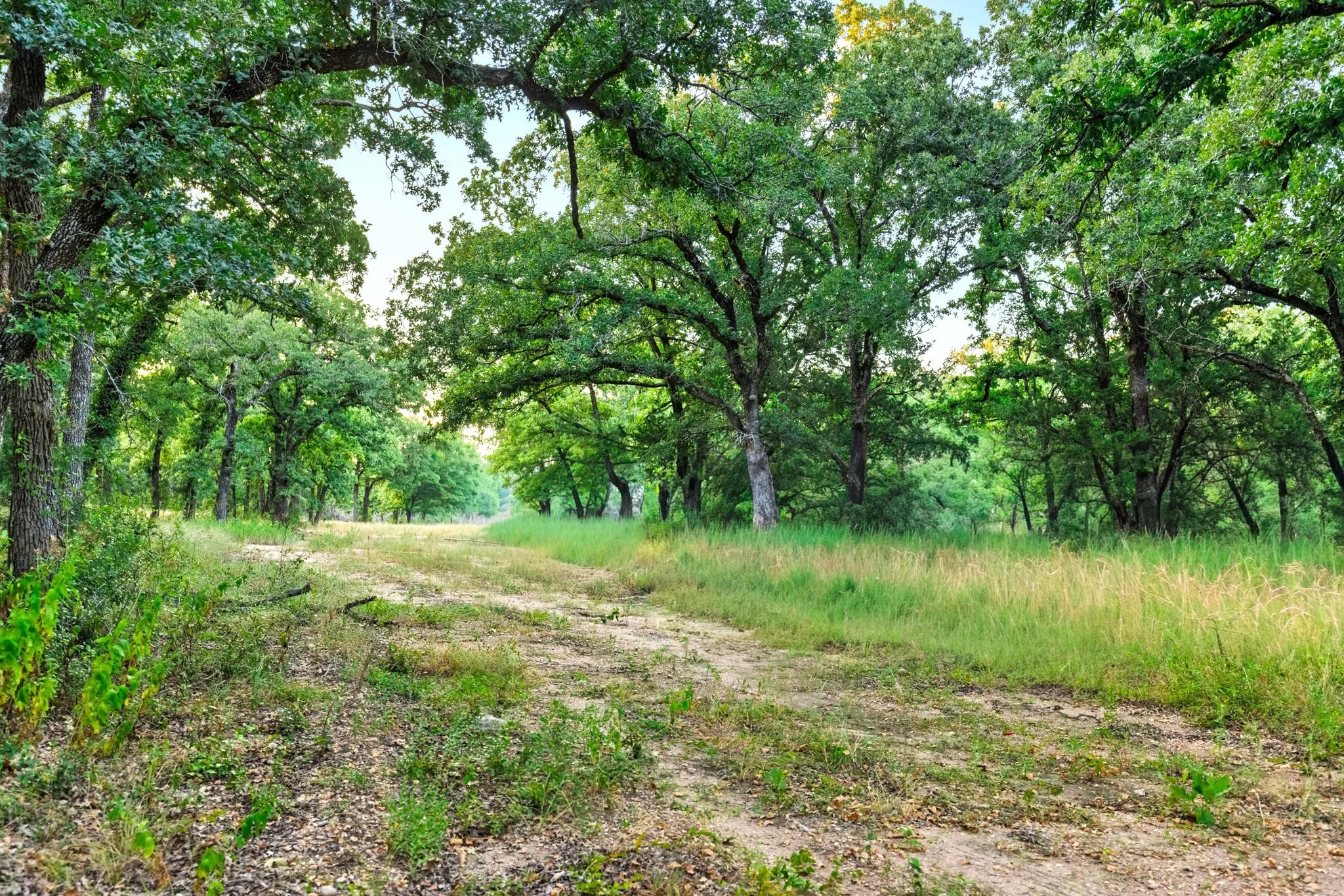 Improved Land For Sale in Mc Lennan County , Longhorn Parkway & Highway 31, Axtell, Texas 76624, 0, 0, Garage spaces, 0 Sqft, built in 0, mls#21388834, Real Estate Agent in Axtell, Homes For Sale in Mc Lennan county, Homes For Sale in Axtell, Realtor in Axtell Texas, Real Estate Brokerage Independent Realty Texas, Luminita Cordes Realtor