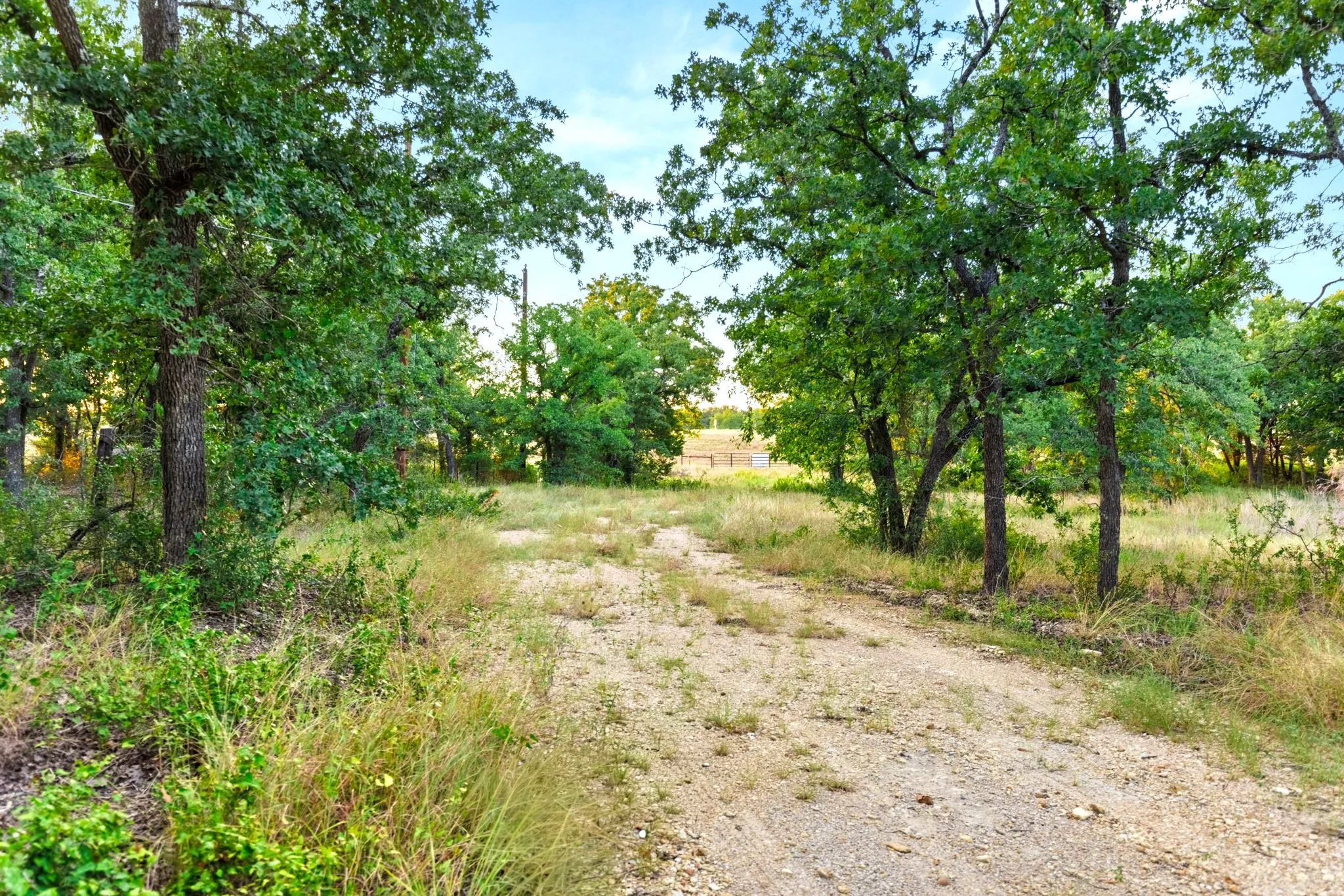 Improved Land For Sale in Mc Lennan County , Longhorn Parkway & Highway 31, Axtell, Texas 76624, 0, 0, Garage spaces, 0 Sqft, built in 0, mls#21388834, Real Estate Agent in Axtell, Homes For Sale in Mc Lennan county, Homes For Sale in Axtell, Realtor in Axtell Texas, Real Estate Brokerage Independent Realty Texas, Luminita Cordes Realtor