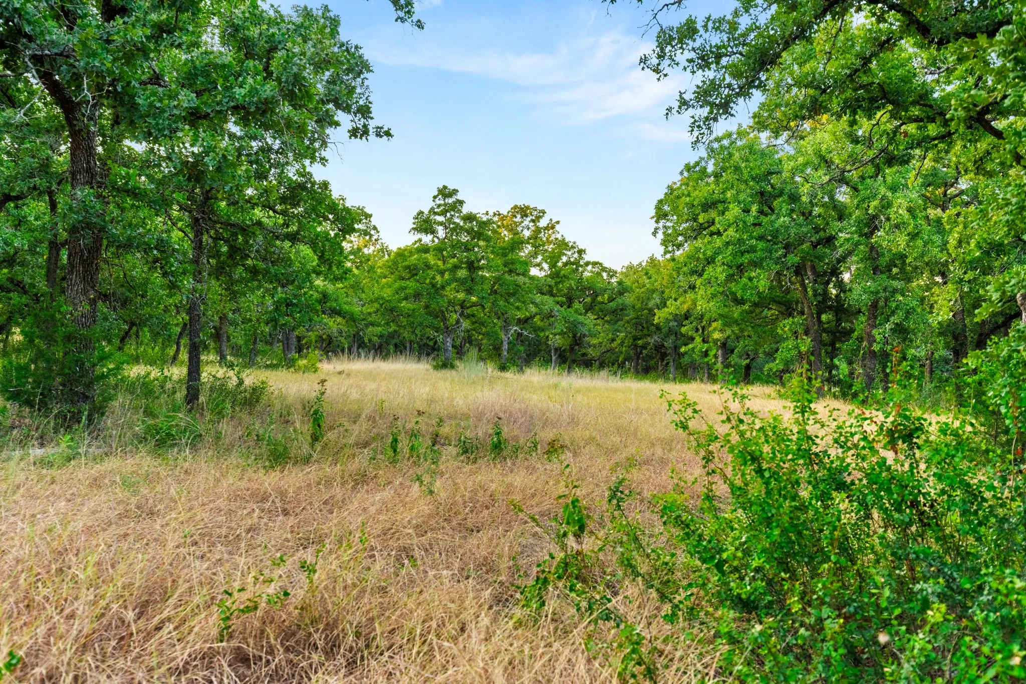 Improved Land For Sale in Mc Lennan County , Longhorn Parkway & Highway 31, Axtell, Texas 76624, 0, 0, Garage spaces, 0 Sqft, built in 0, mls#21388834, Real Estate Agent in Axtell, Homes For Sale in Mc Lennan county, Homes For Sale in Axtell, Realtor in Axtell Texas, Real Estate Brokerage Independent Realty Texas, Luminita Cordes Realtor