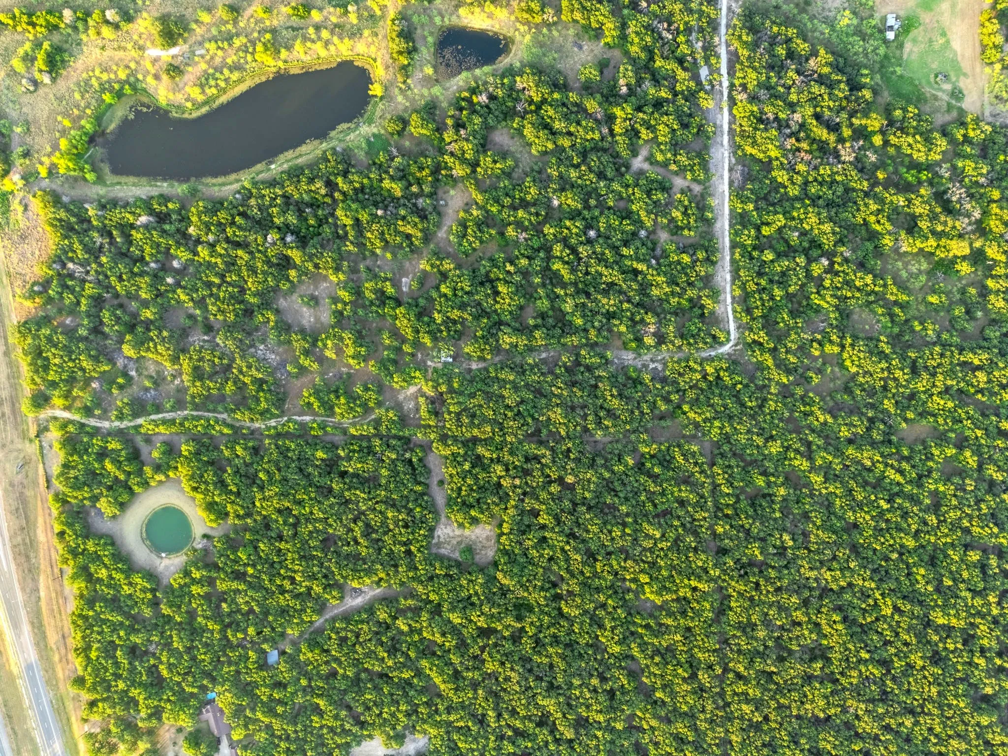 Improved Land For Sale in Mc Lennan County , Longhorn Parkway & Highway 31, Axtell, Texas 76624, 0, 0, Garage spaces, 0 Sqft, built in 0, mls#21388834, Real Estate Agent in Axtell, Homes For Sale in Mc Lennan county, Homes For Sale in Axtell, Realtor in Axtell Texas, Real Estate Brokerage Independent Realty Texas, Luminita Cordes Realtor