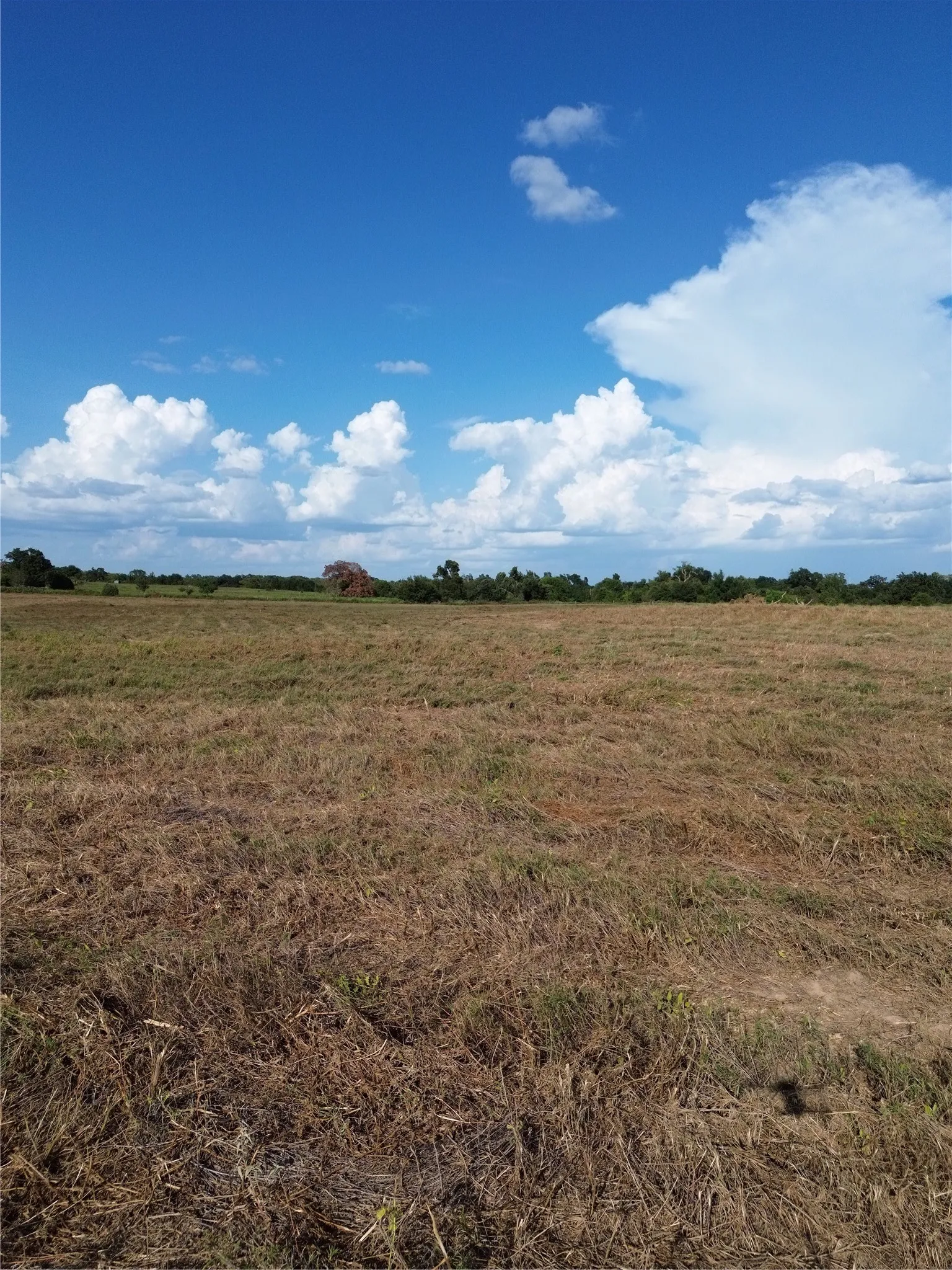 Unimproved Land For Sale in Robertson County , 0 Grant Prairie Road 2, Franklin, Texas 77856, 0, 0, Garage spaces, 0 Sqft, built in 0, mls#21380444, Real Estate Agent in Franklin, Homes For Sale in Robertson county, Homes For Sale in Franklin, Realtor in Franklin Texas, Real Estate Brokerage Independent Realty Texas, Luminita Cordes Realtor
