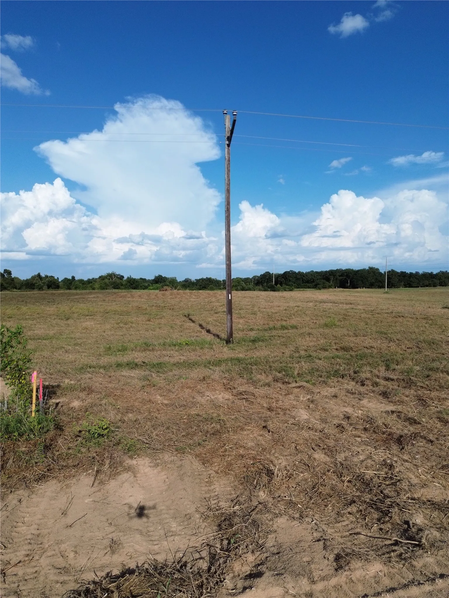 Unimproved Land For Sale in Robertson County , 0 Grant Prairie Road 2, Franklin, Texas 77856, 0, 0, Garage spaces, 0 Sqft, built in 0, mls#21380444, Real Estate Agent in Franklin, Homes For Sale in Robertson county, Homes For Sale in Franklin, Realtor in Franklin Texas, Real Estate Brokerage Independent Realty Texas, Luminita Cordes Realtor