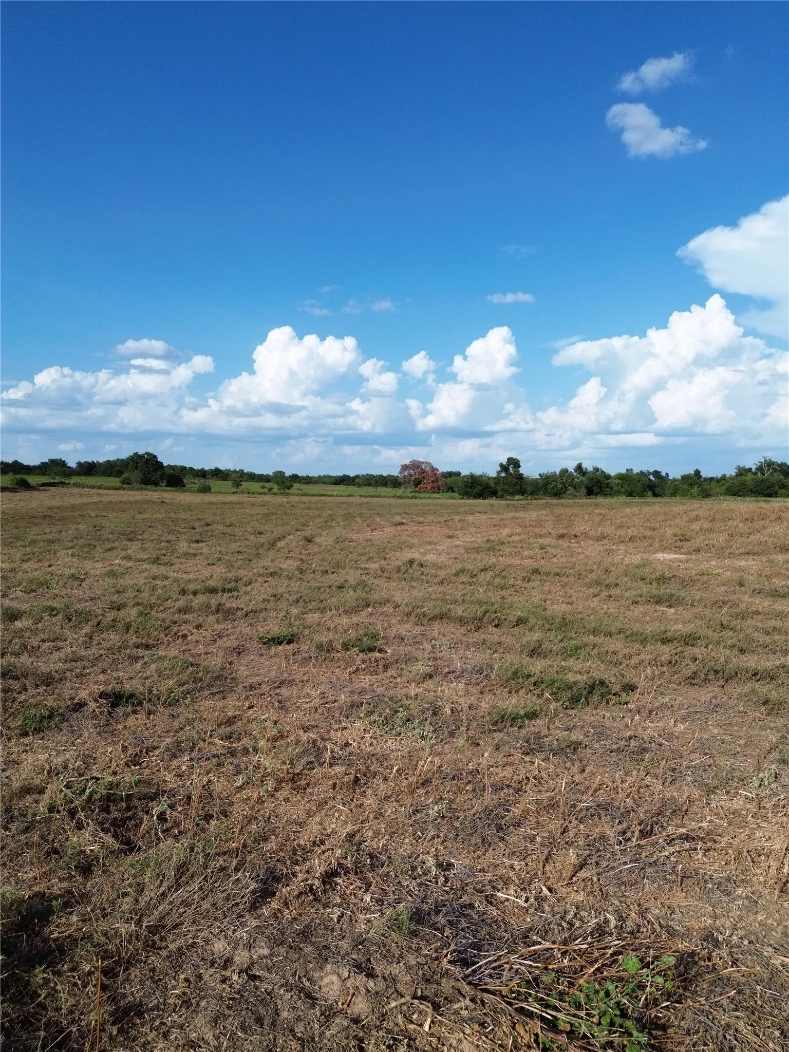 Unimproved Land For Sale in Robertson County , 0 Grant Prairie Road 2, Franklin, Texas 77856, 0, 0, Garage spaces, 0 Sqft, built in 0, mls#21380444, Real Estate Agent in Franklin, Homes For Sale in Robertson county, Homes For Sale in Franklin, Realtor in Franklin Texas, Real Estate Brokerage Independent Realty Texas, Luminita Cordes Realtor