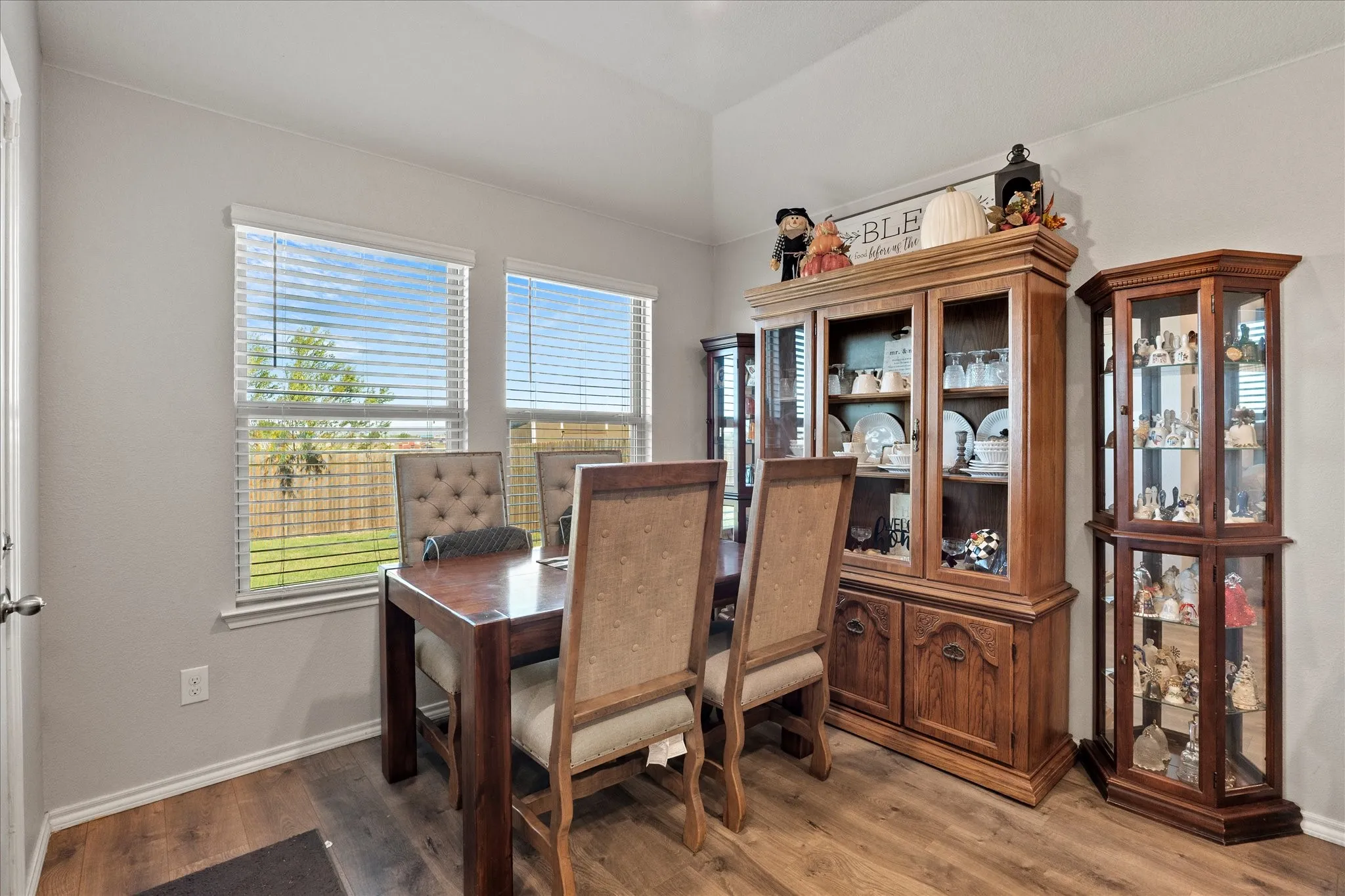 Single Family Residence For Rent in Collin County , 511 Pine Hollow Way, Josephine, Texas 75189, 3 Bedroom, 2 Bathroom, 2 Garage spaces, 1,448 Sqft, built in 2020, mls#21388844, Real Estate Agent in Josephine, Homes For Rent in Collin county, Homes For Rent in Josephine, Realtor in Josephine Texas, Real Estate Brokerage Independent Realty Texas, Luminita Cordes Realtor