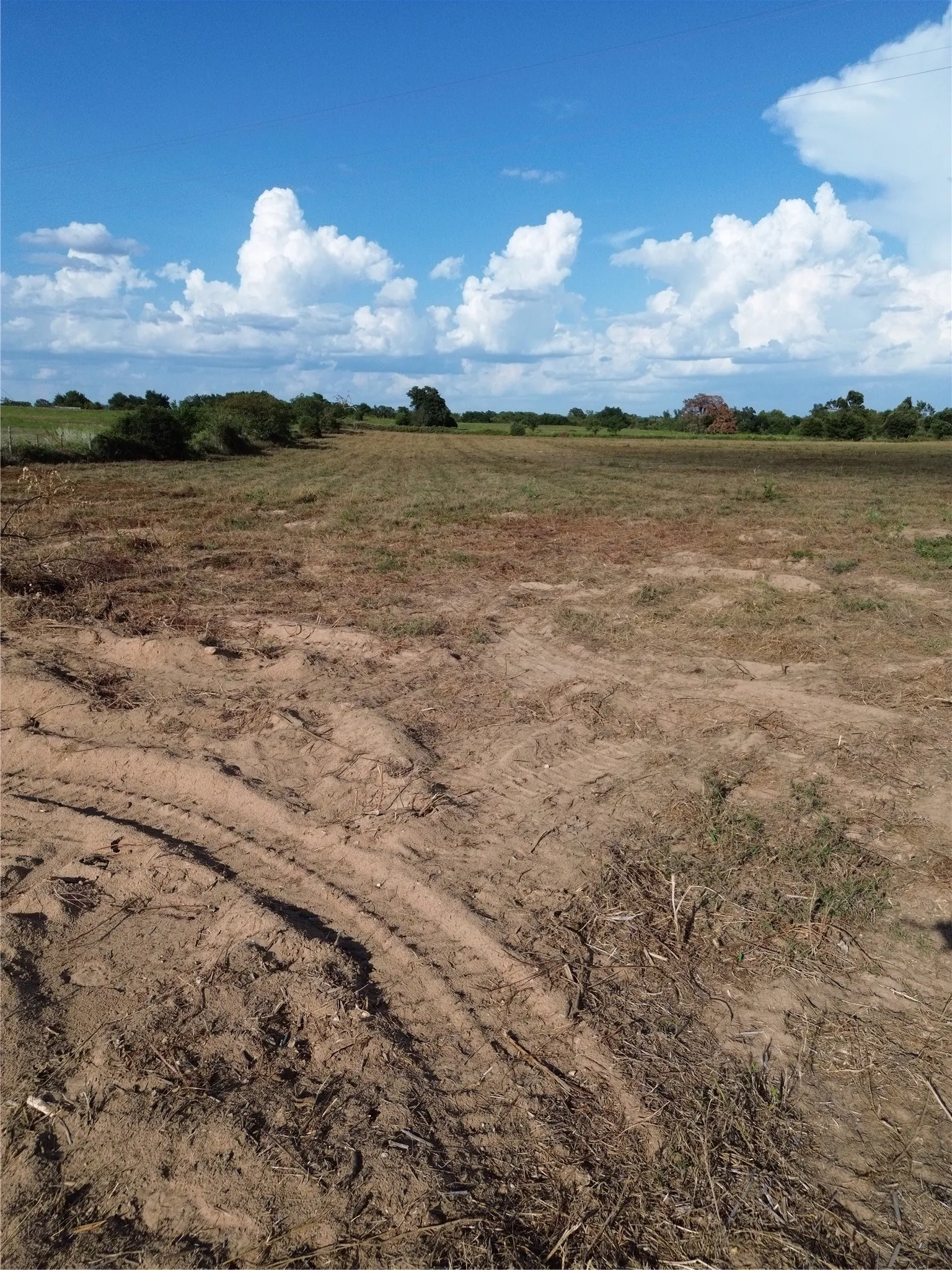 Unimproved Land For Sale in Robertson County , 0 Grant Prairie Road 1, Franklin, Texas 77856, 0, 0, Garage spaces, 0 Sqft, built in 0, mls#21380438, Real Estate Agent in Franklin, Homes For Sale in Robertson county, Homes For Sale in Franklin, Realtor in Franklin Texas, Real Estate Brokerage Independent Realty Texas, Luminita Cordes Realtor