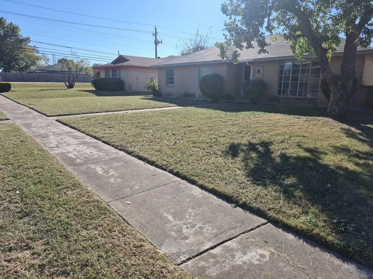 Brick exterior with a mature tree, front lawn, and concrete sidewalk