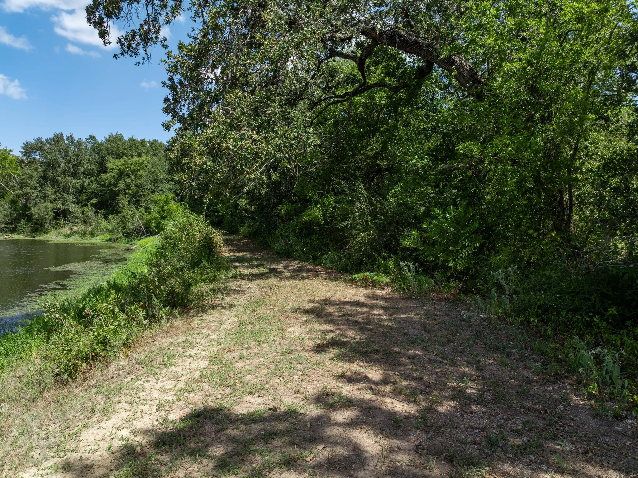 Natural landscape featuring a pond and mature trees