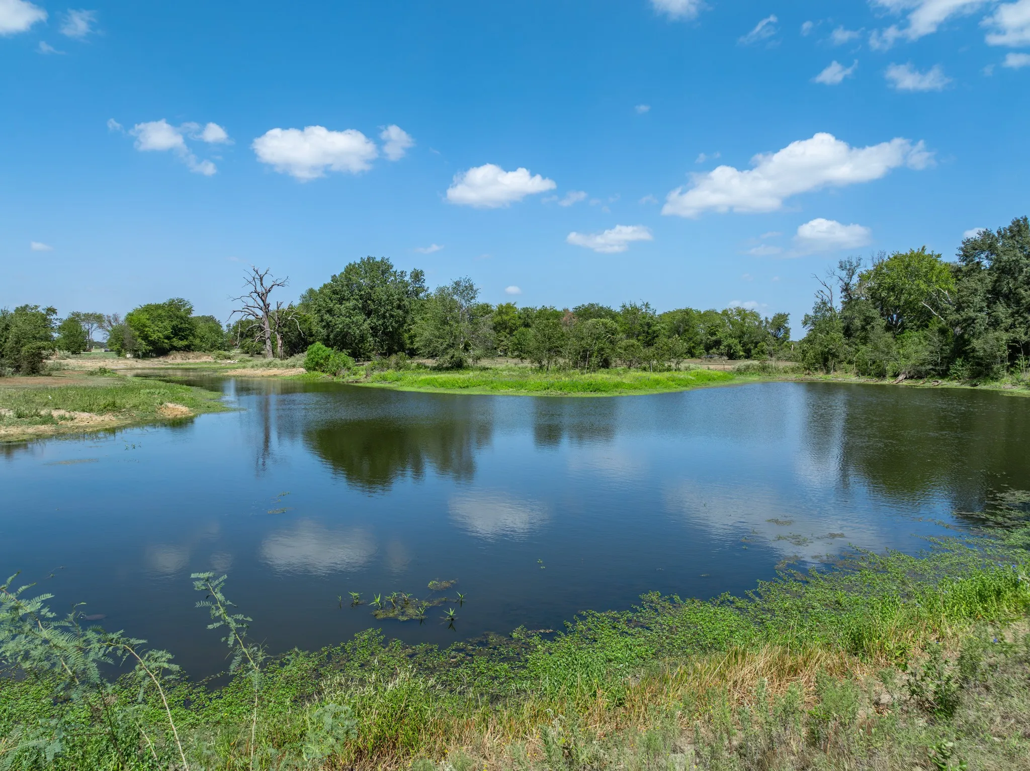 Expansive body of water surrounded by lush greenery and mature trees