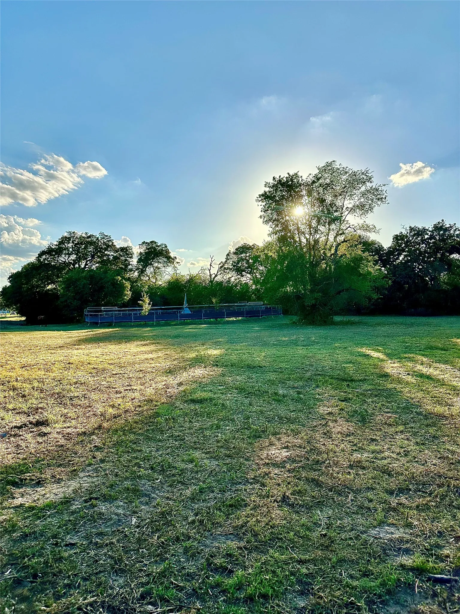 Expansive grassy area with a partial perimeter fence and mature trees