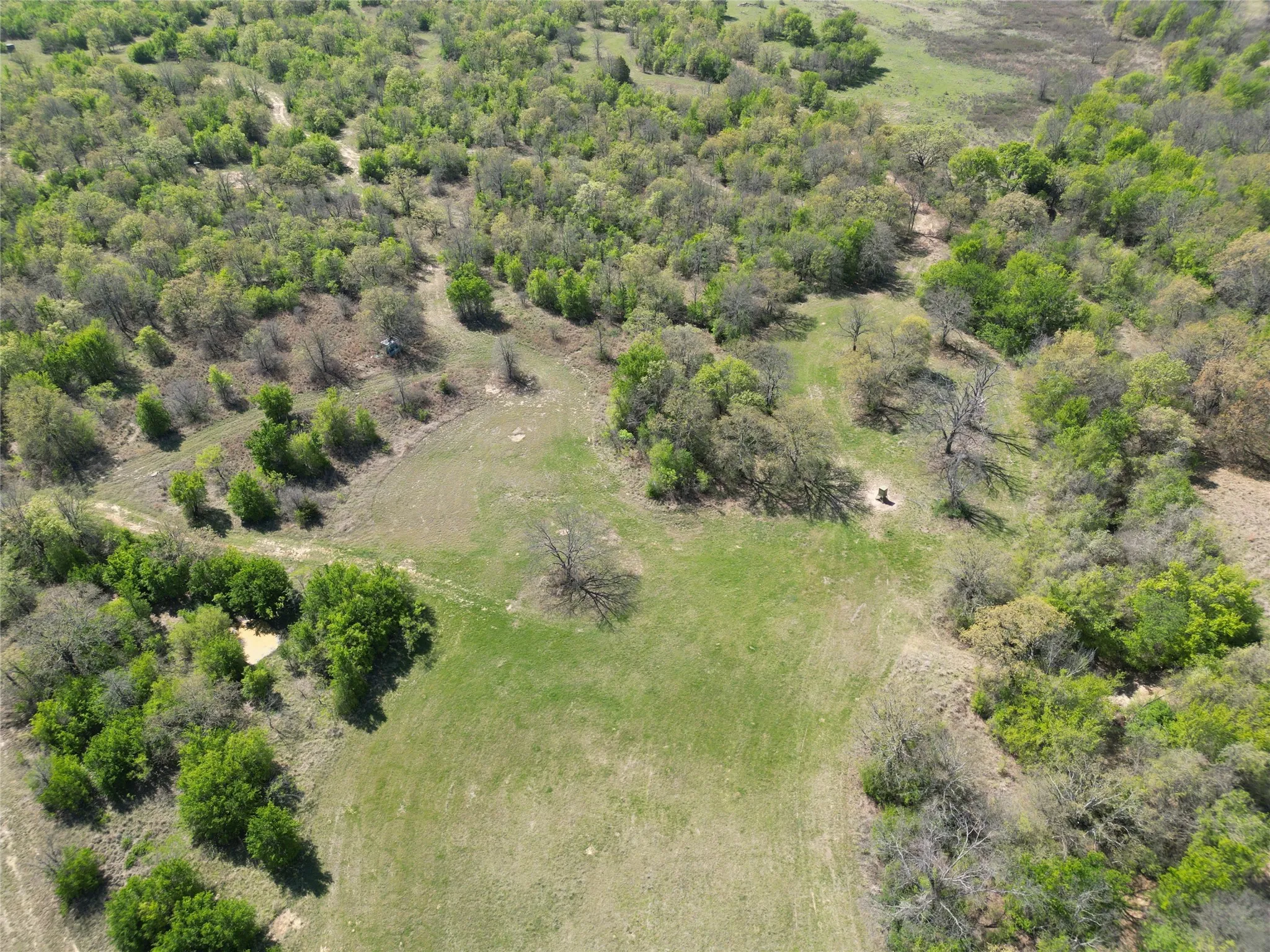 Improved Land For Sale in Jack County , 10650 FM 1156, Jacksboro, Texas 76458, 0, 0, Garage spaces, 0 Sqft, built in 2017, mls#21388889, Real Estate Agent in Jacksboro, Homes For Sale in Jack county, Homes For Sale in Jacksboro, Realtor in Jacksboro Texas, Real Estate Brokerage Independent Realty Texas, Luminita Cordes Realtor