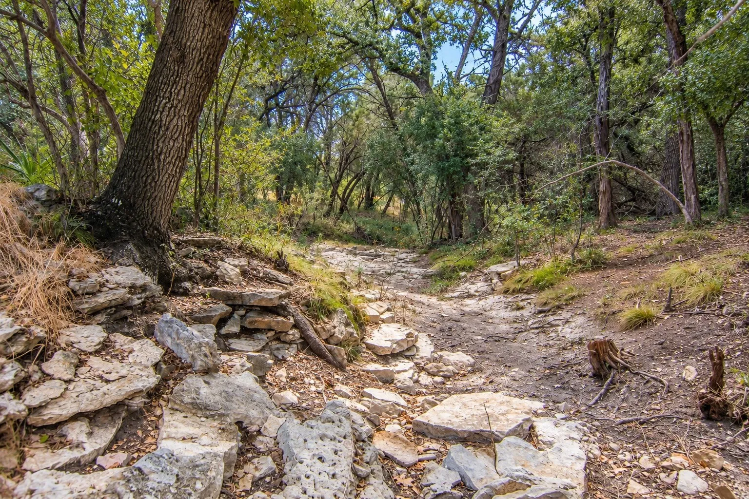 Single Family Residence For Sale in Travis County , 20608 Live Oak Street, Leander, Texas 78641, 4 Bedroom, 4 Bathroom, 2 Garage spaces, 3,637 Sqft, built in 2001, mls#21388895, Real Estate Agent in Leander, Homes For Sale in Travis county, Homes For Sale in Leander, Realtor in Leander Texas, Real Estate Brokerage Independent Realty Texas, Luminita Cordes Realtor