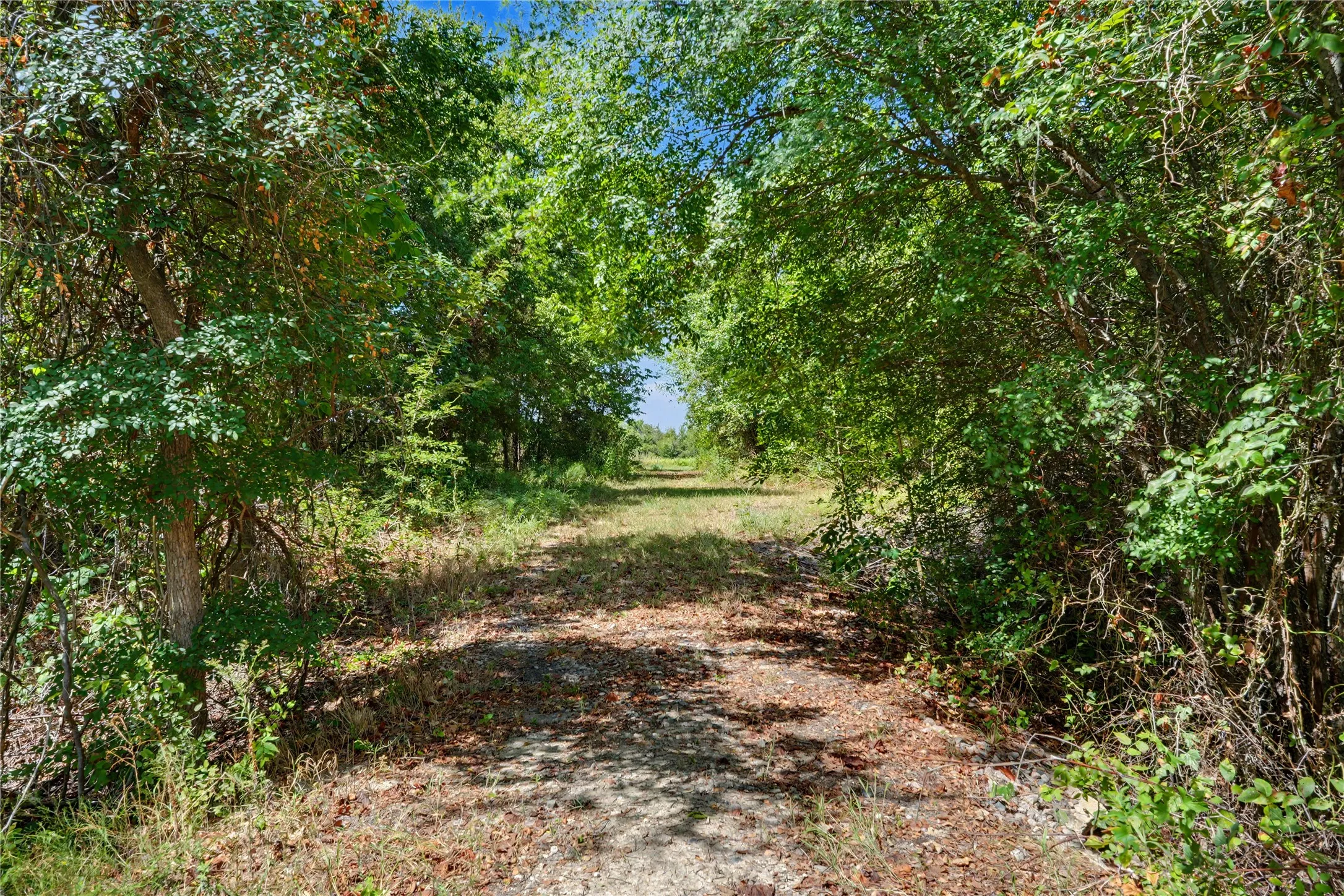 Improved Land For Sale in Hill County , 6927 State Highway 22, Bynum, Texas 76631, 0, 0, Garage spaces, 0 Sqft, built in 0, mls#21388880, Real Estate Agent in Bynum, Homes For Sale in Hill county, Homes For Sale in Bynum, Realtor in Bynum Texas, Real Estate Brokerage Independent Realty Texas, Luminita Cordes Realtor