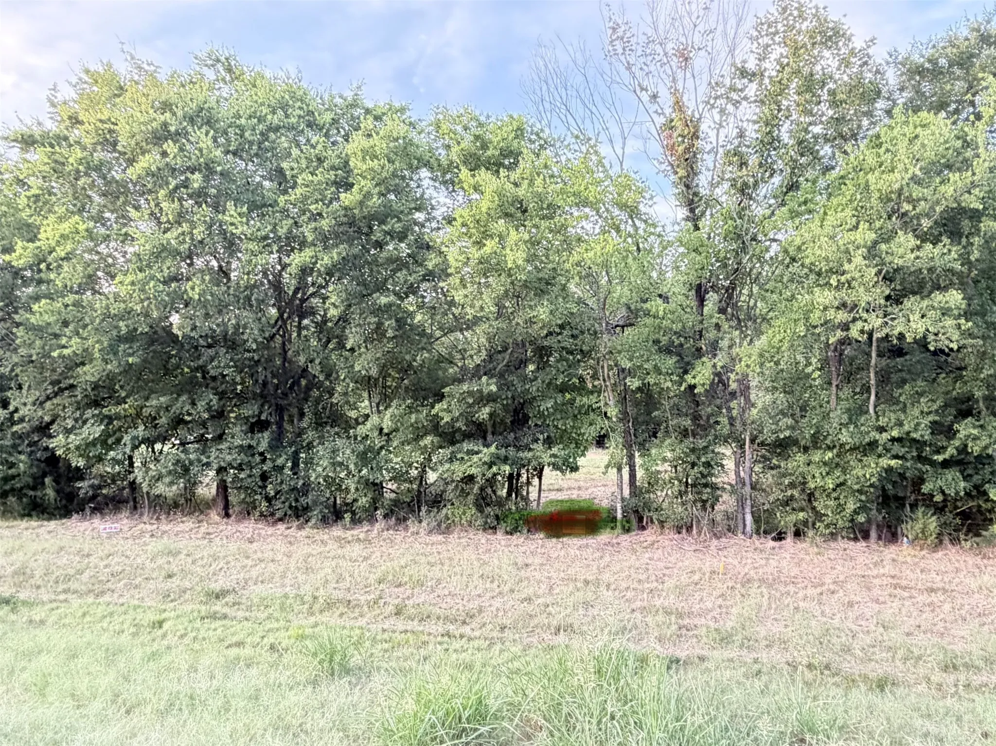 Ranch For Sale in Kaufman County , 0000 Fm-2728 Road 3, Terrell, Texas 75161, 0, 0, Garage spaces, 0 Sqft, built in 0, mls#21388959, Real Estate Agent in Terrell, Homes For Sale in Kaufman county, Homes For Sale in Terrell, Realtor in Terrell Texas, Real Estate Brokerage Independent Realty Texas, Luminita Cordes Realtor