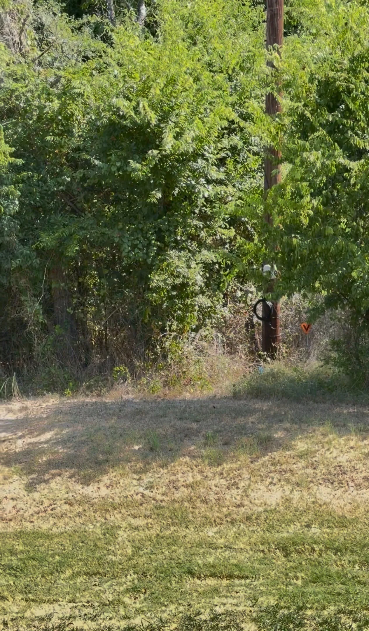 Ranch For Sale in Kaufman County , 0000 Fm-2728 Road 3, Terrell, Texas 75161, 0, 0, Garage spaces, 0 Sqft, built in 0, mls#21388959, Real Estate Agent in Terrell, Homes For Sale in Kaufman county, Homes For Sale in Terrell, Realtor in Terrell Texas, Real Estate Brokerage Independent Realty Texas, Luminita Cordes Realtor