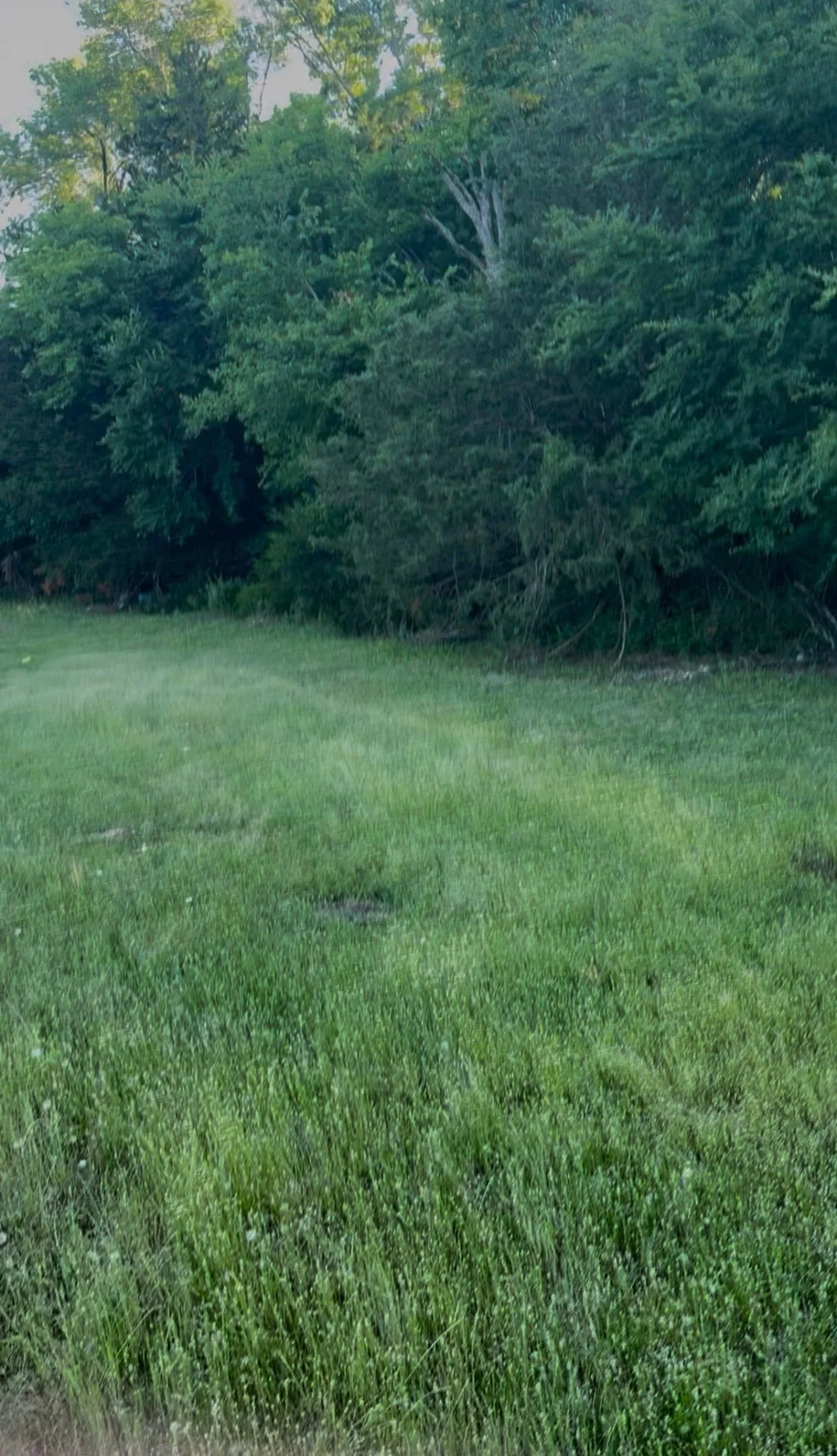 Ranch For Sale in Kaufman County , 0000 Fm-2728 Road 3, Terrell, Texas 75161, 0, 0, Garage spaces, 0 Sqft, built in 0, mls#21388959, Real Estate Agent in Terrell, Homes For Sale in Kaufman county, Homes For Sale in Terrell, Realtor in Terrell Texas, Real Estate Brokerage Independent Realty Texas, Luminita Cordes Realtor
